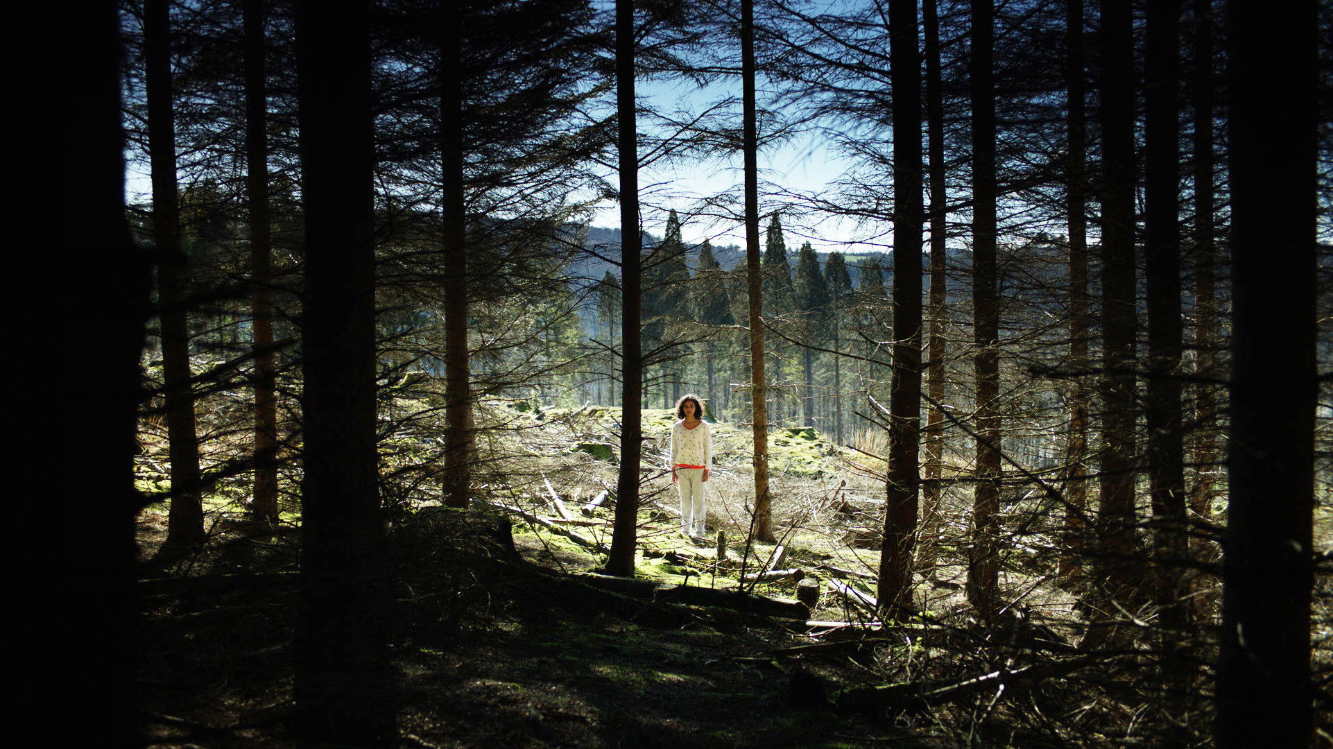 Backdrop for In the Rose Garden