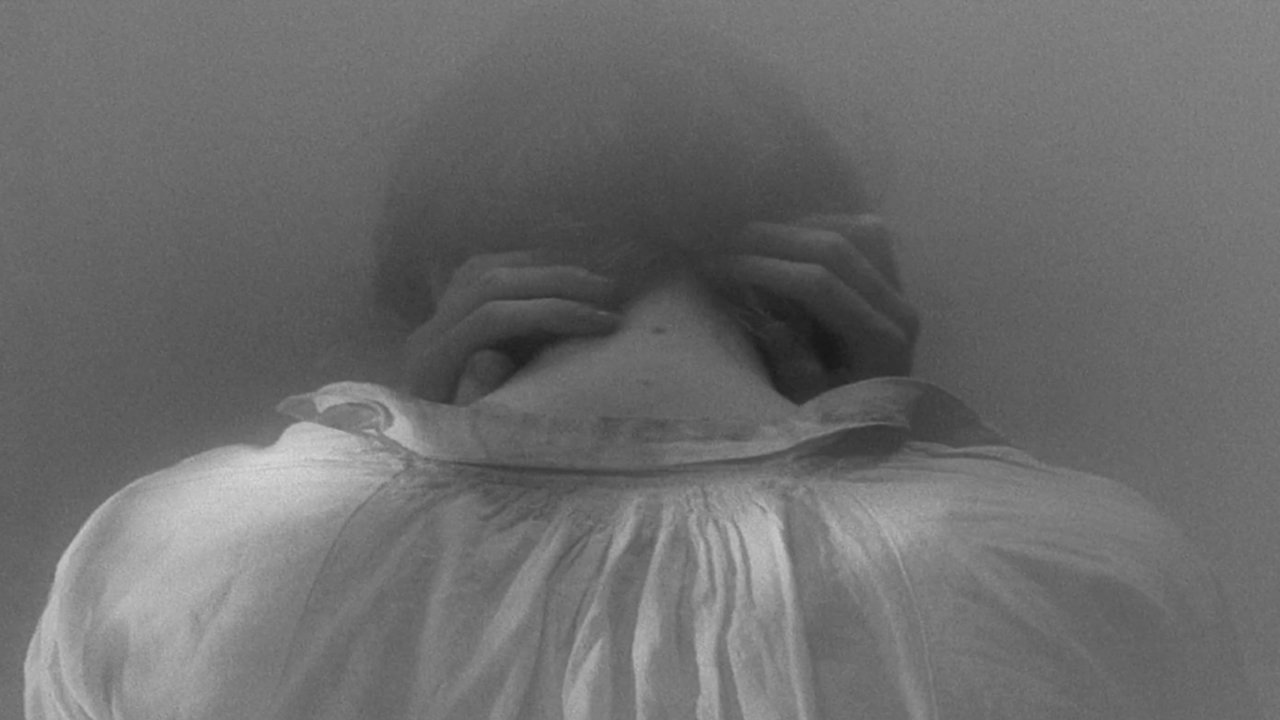 Backdrop for In Absentia