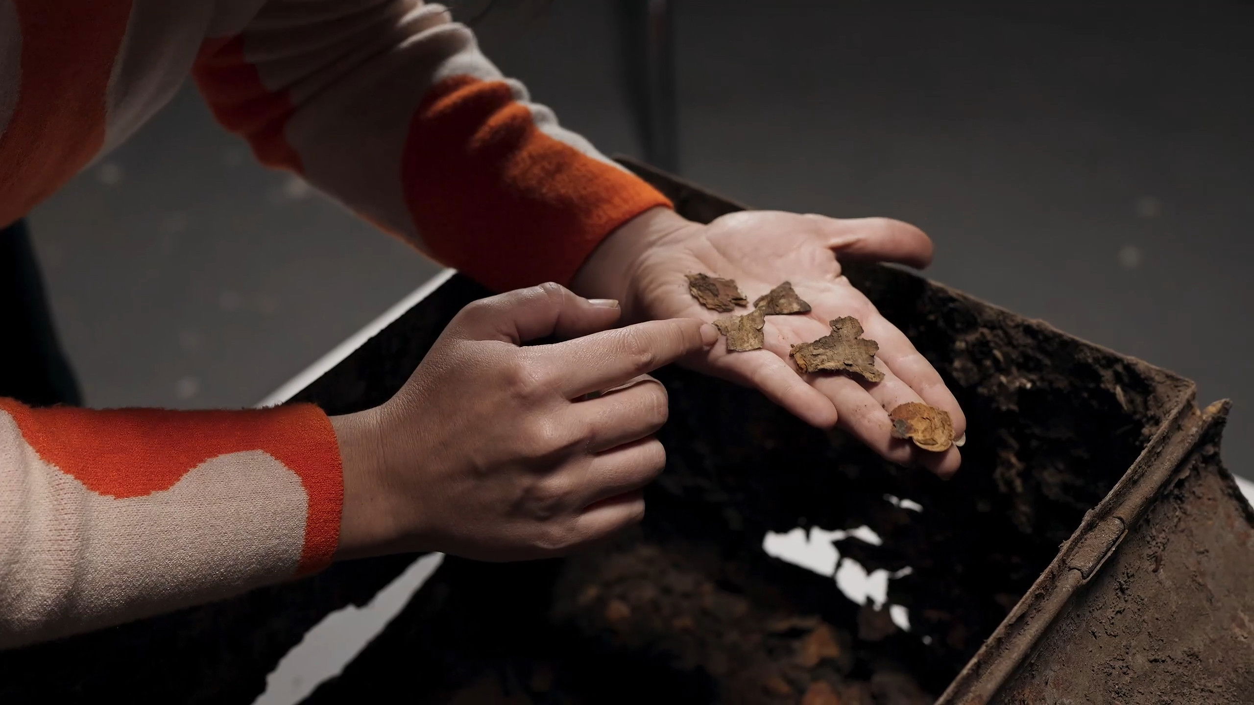 Backdrop for Unearthing. The Books We Didn't Inherit