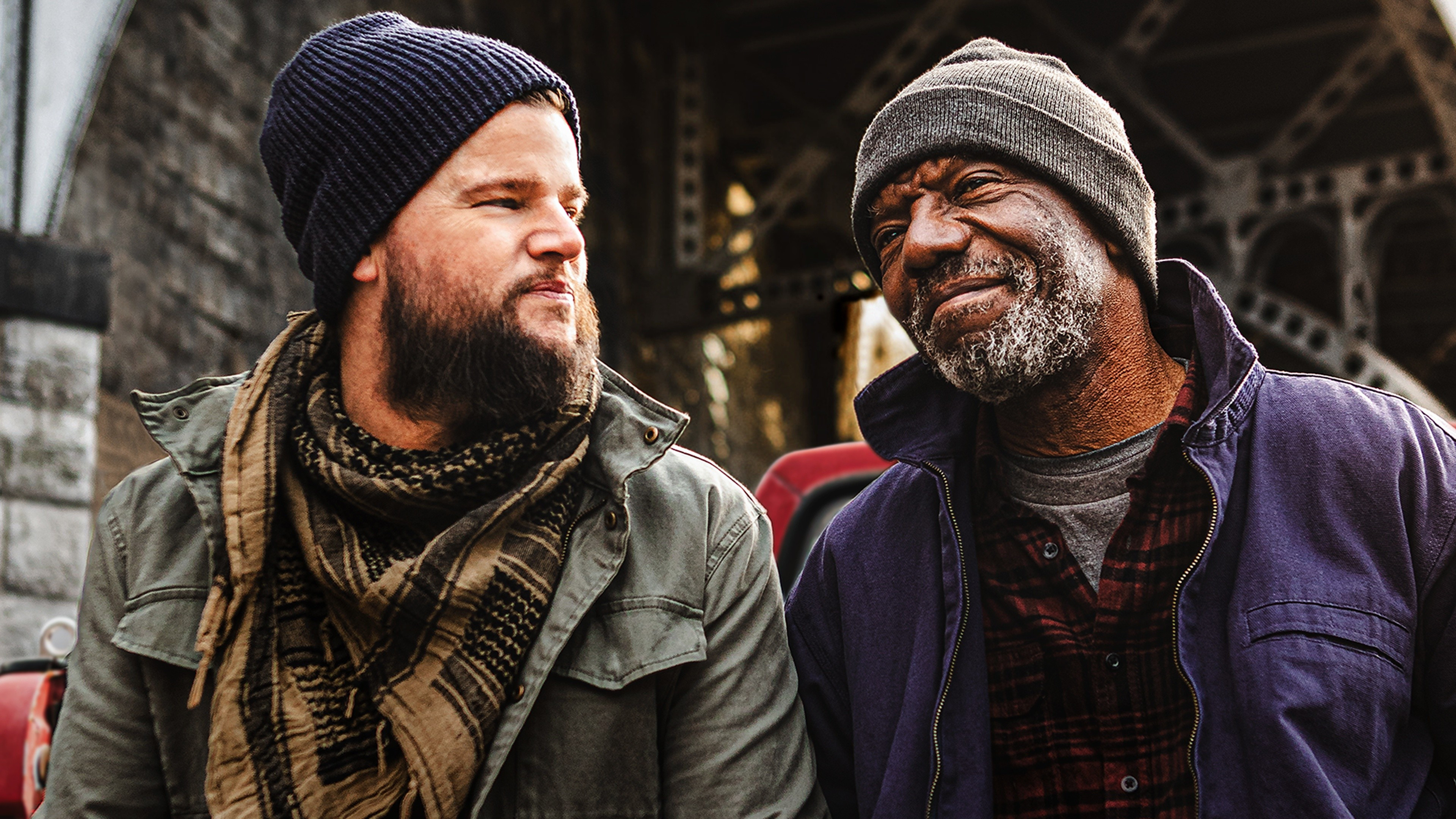 Backdrop for Sheepdog