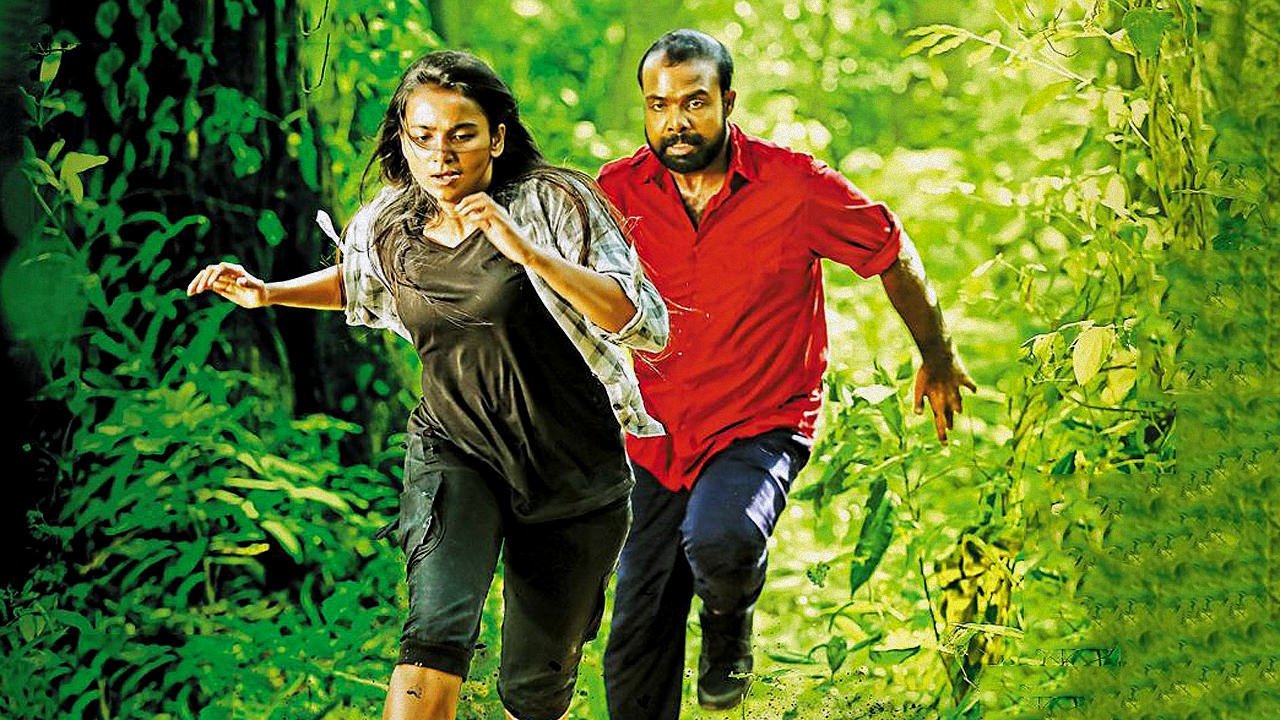 Backdrop for Shikhamani