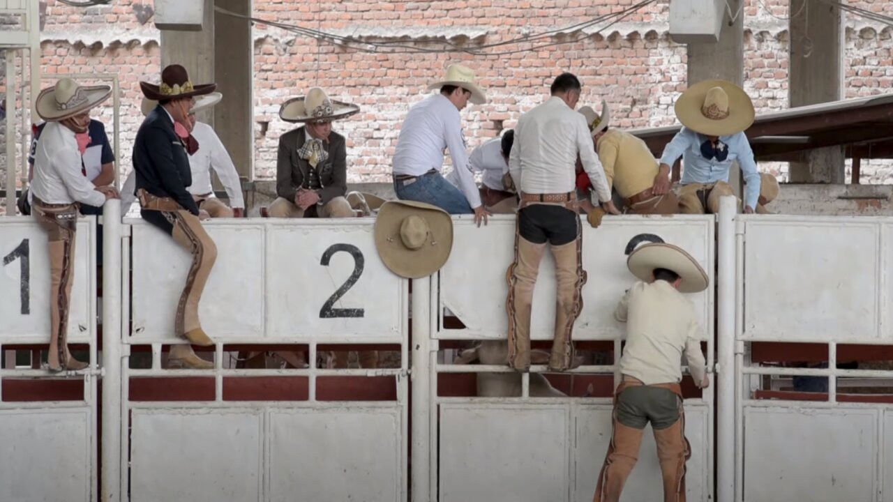 Backdrop for Charrería. Cultura de explotación y e abuso