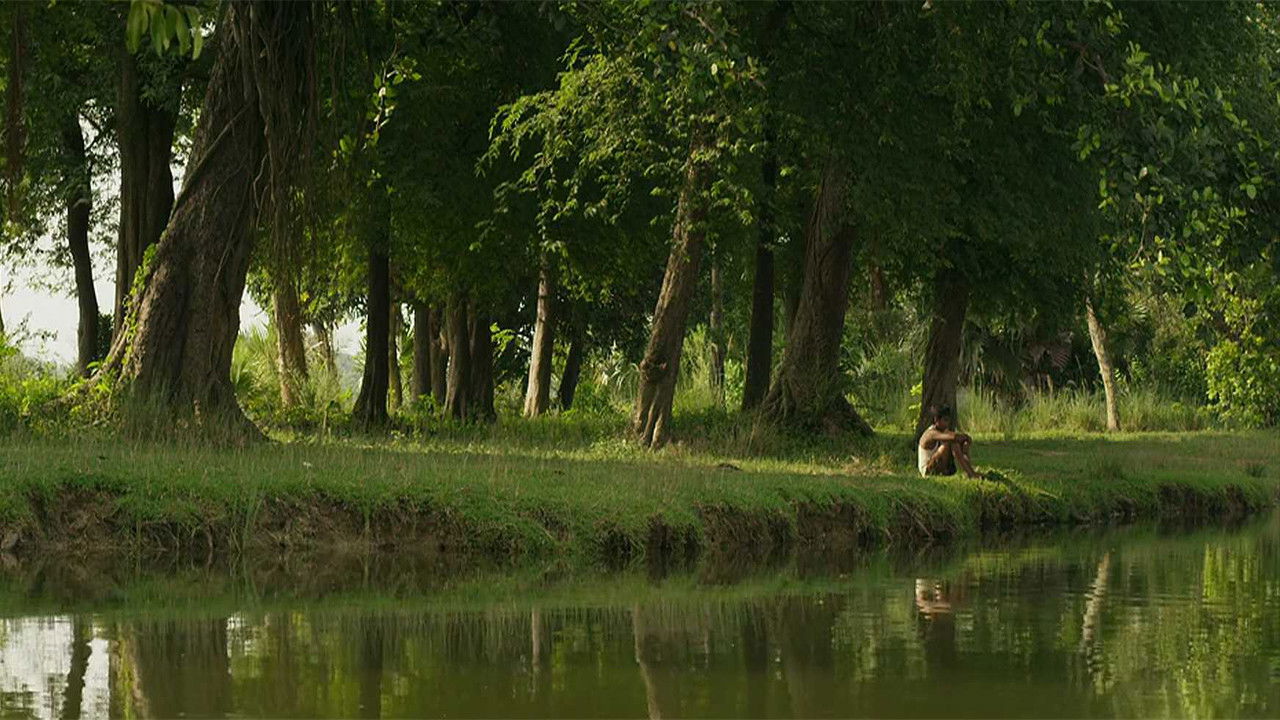 Backdrop for Colours of Innocence