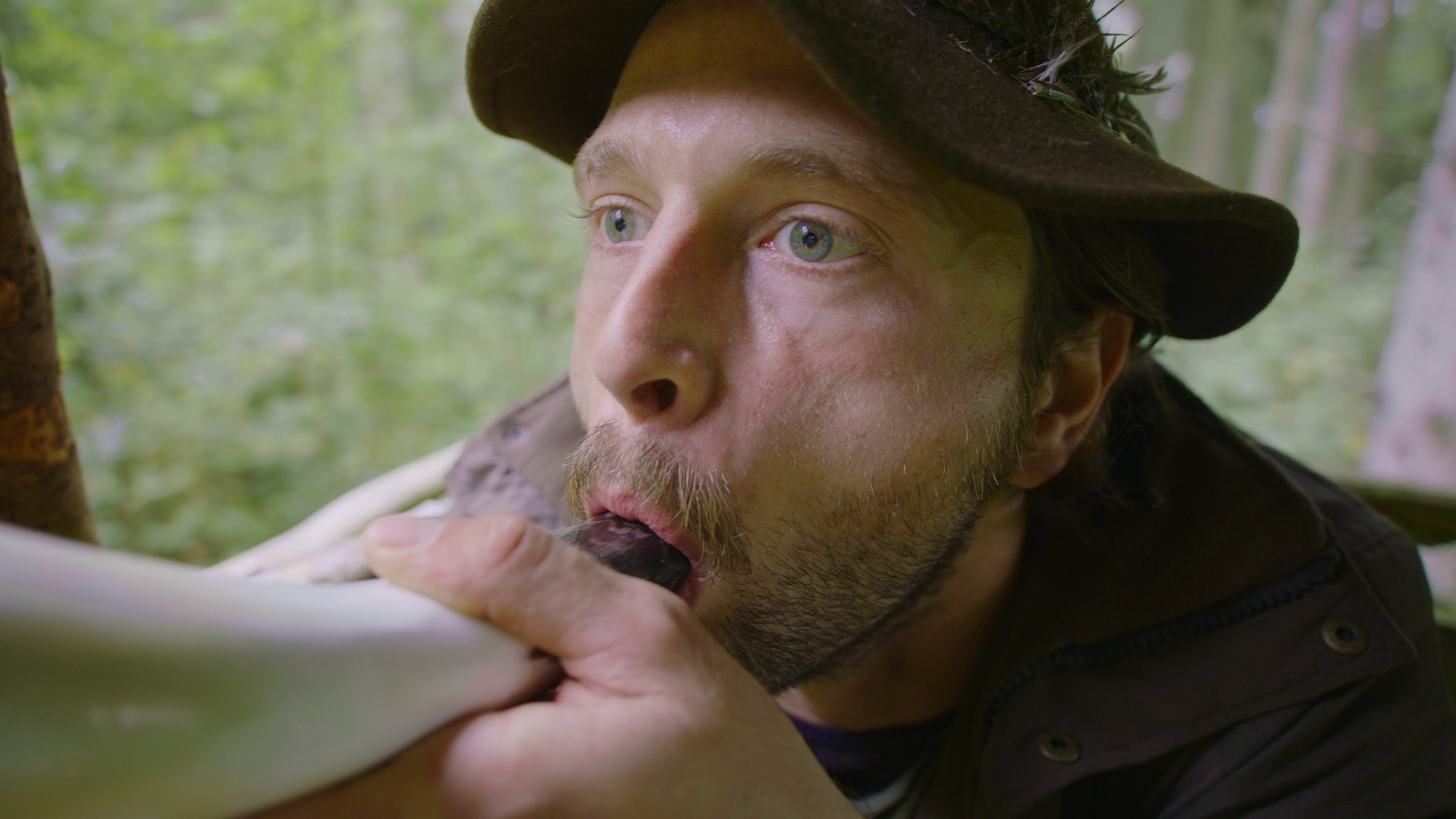 Backdrop for Abgeschossen