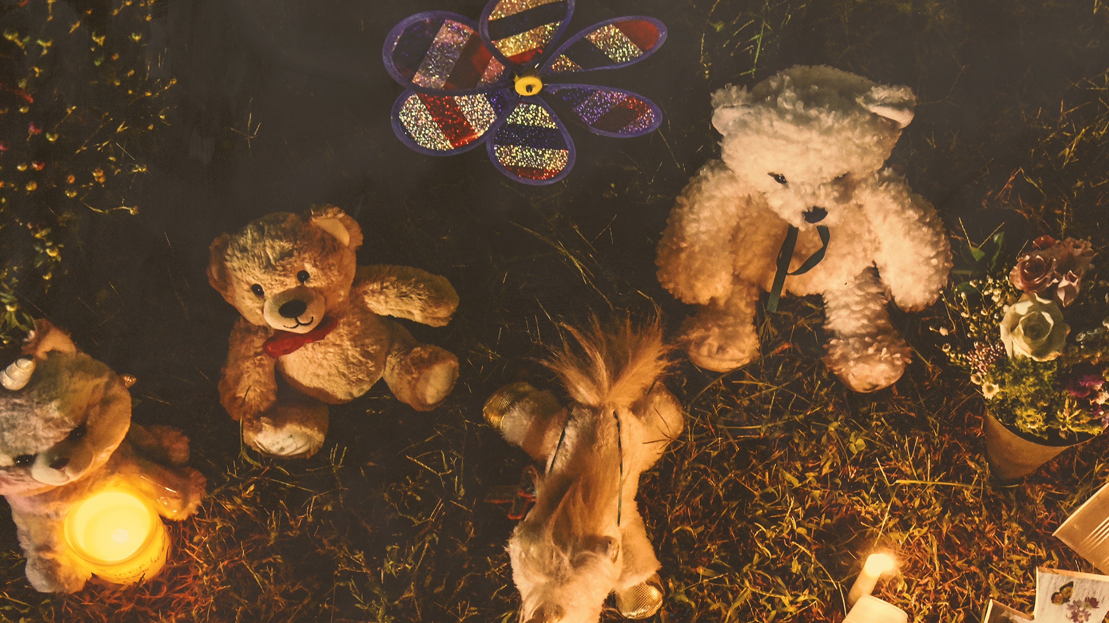 Backdrop for The Murder of Gabby Petito: What Really Happened