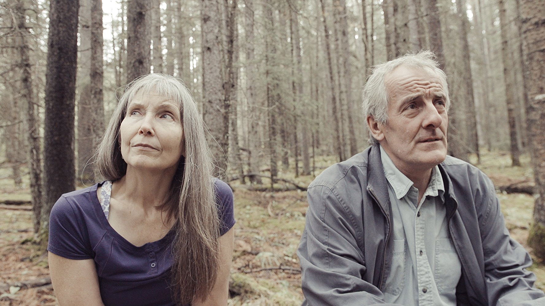 Backdrop for To the Mountain