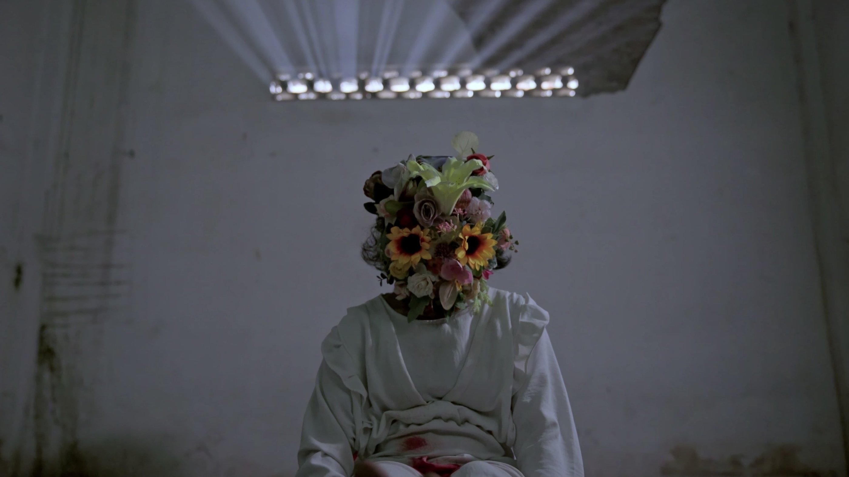 Backdrop for Midnight Sun