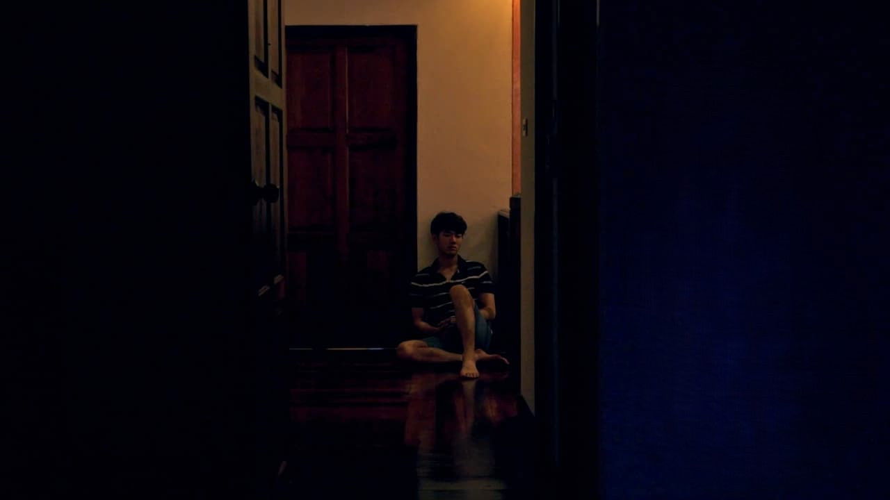 Backdrop for Tropical Night