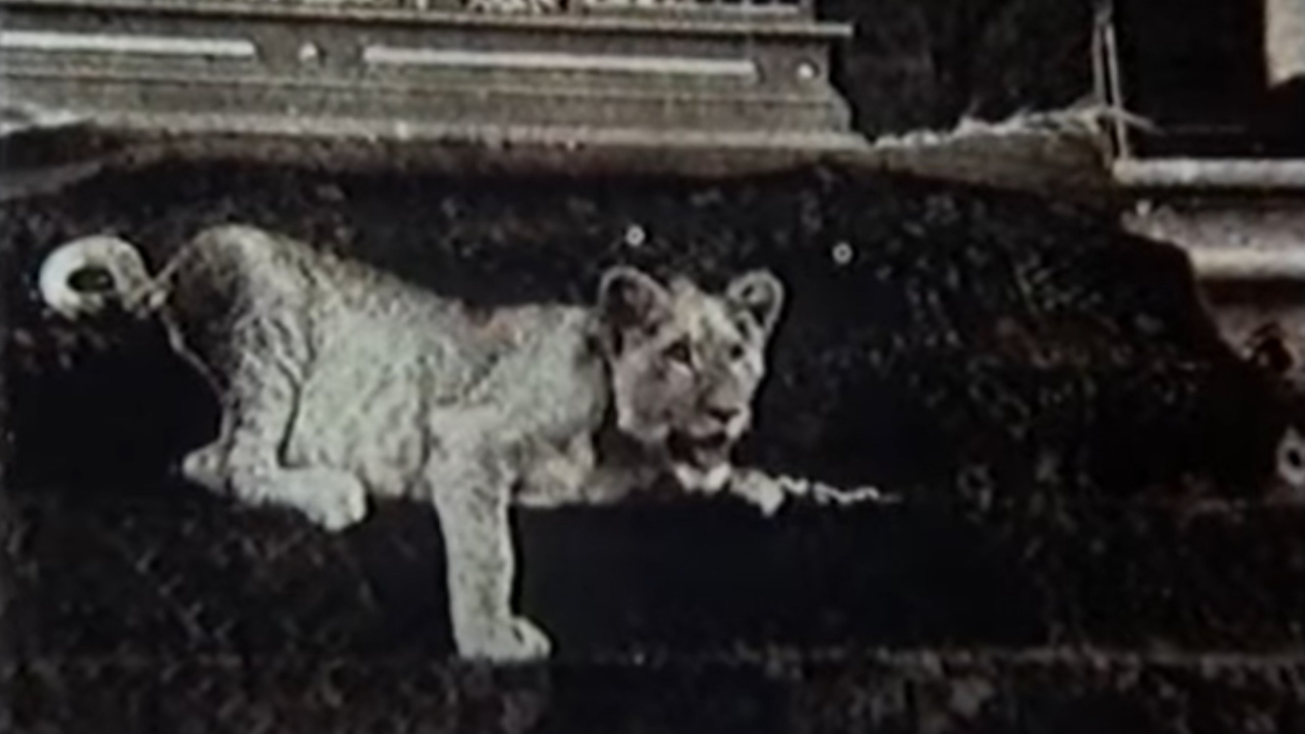 Backdrop for Upon Westminster Bridge