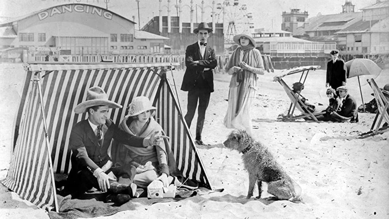 Backdrop for Desert Love