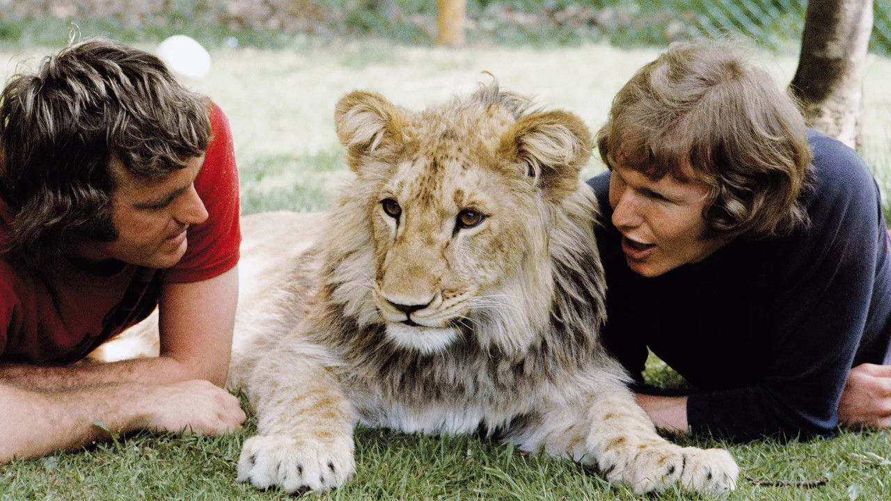 Backdrop for A Lion Called Christian