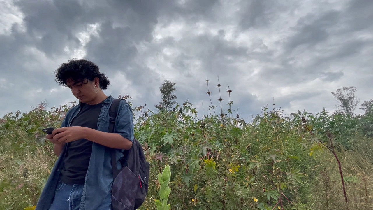 Backdrop for me disgregué