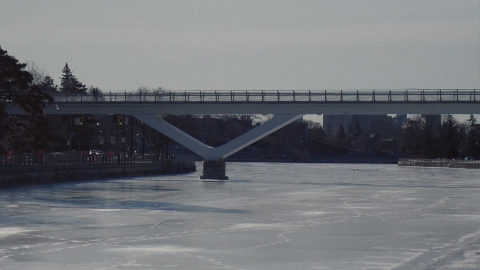 Backdrop for Absence of Mind