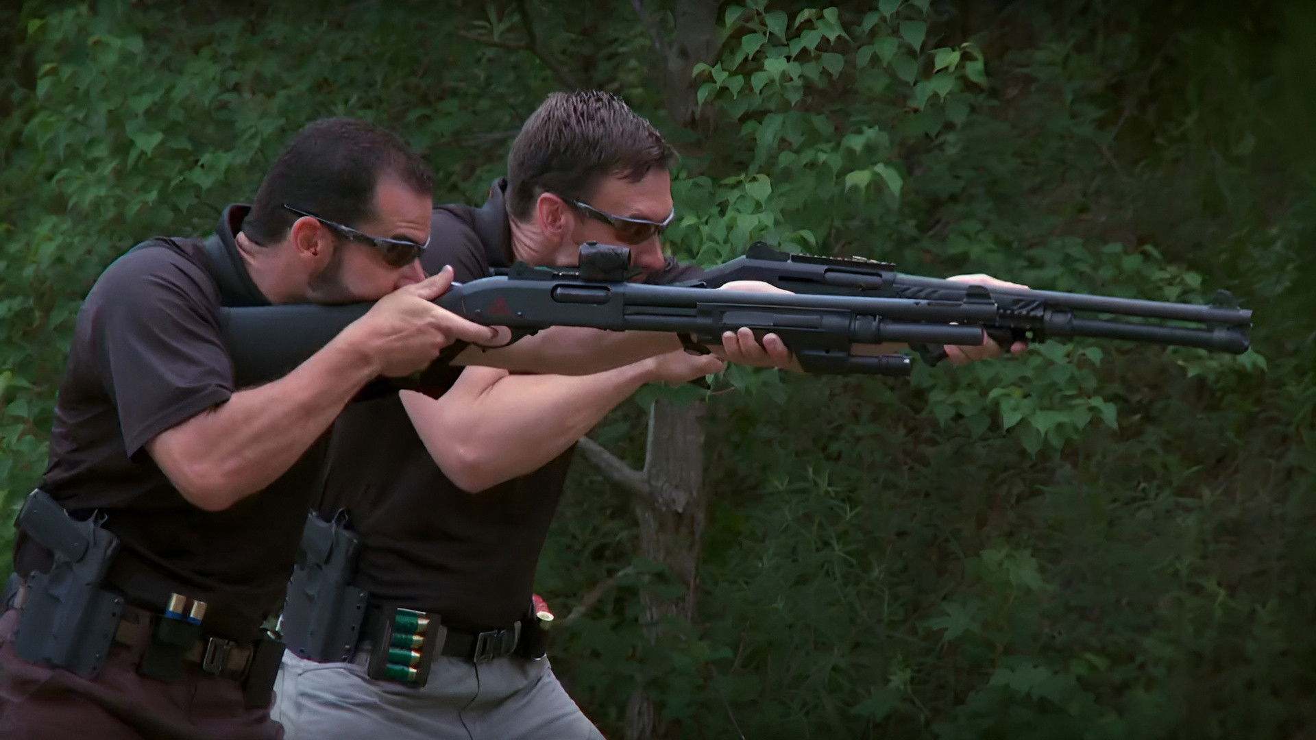 Backdrop for MD: The Art of the Dynamic Shotgun