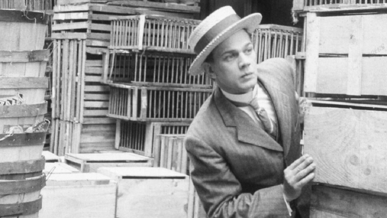 Backdrop for Too Much Johnson