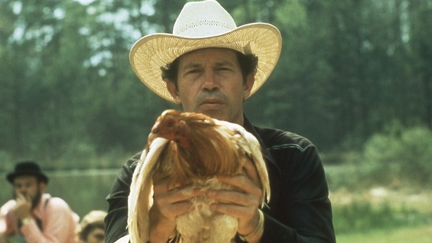 Backdrop for Cockfighter