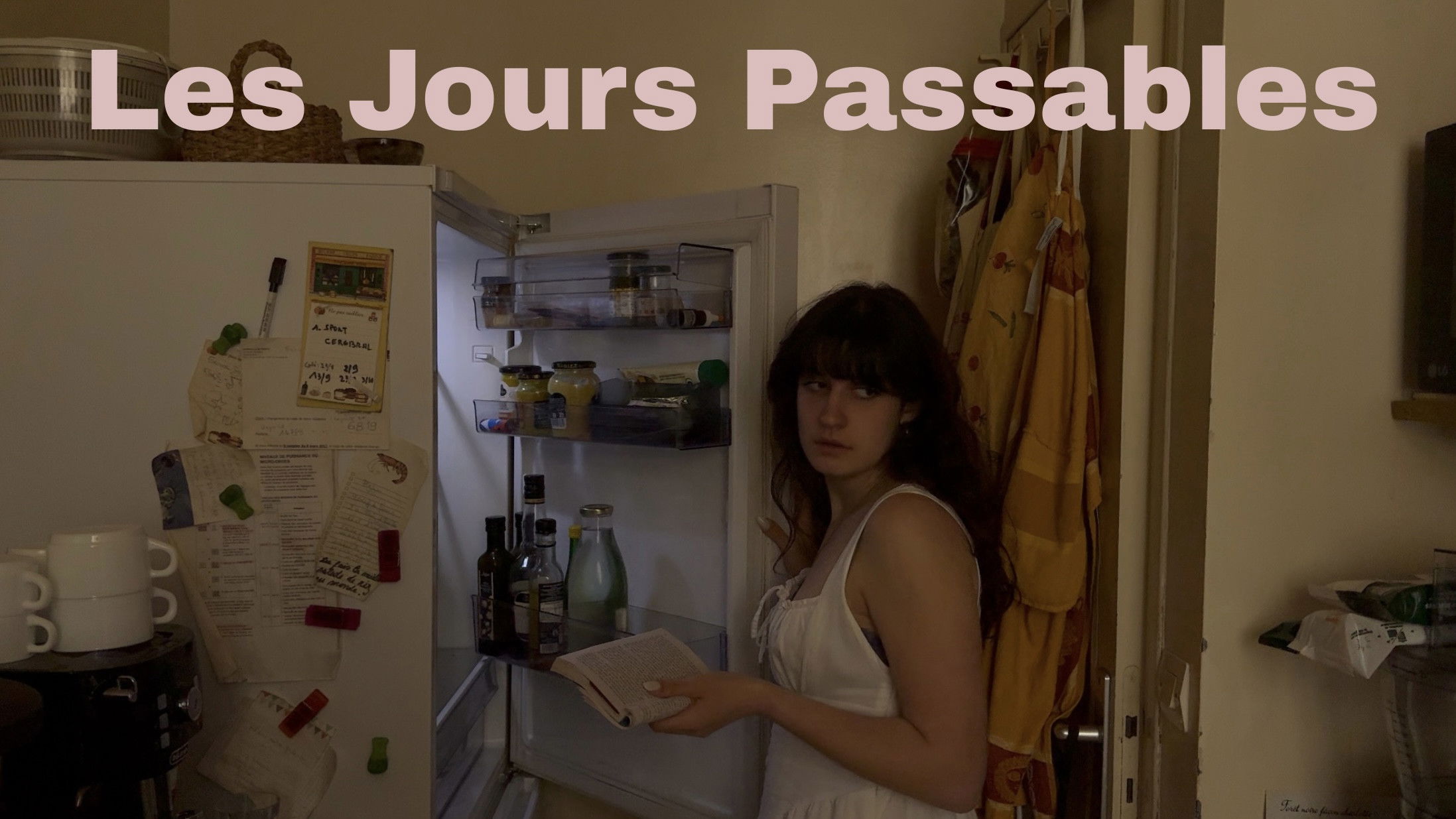 Backdrop for Les jours passables