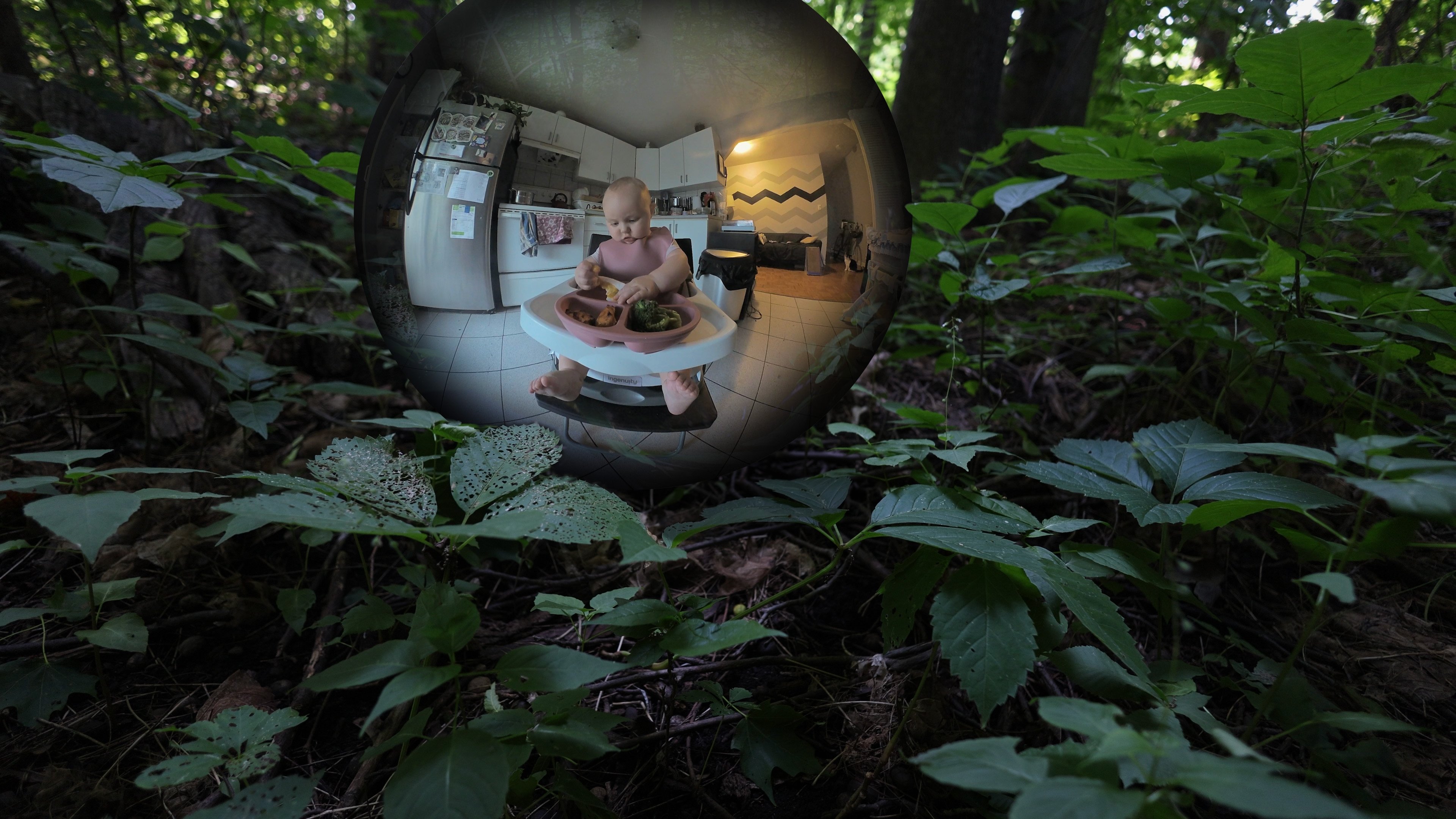 Backdrop for The Fade of Day