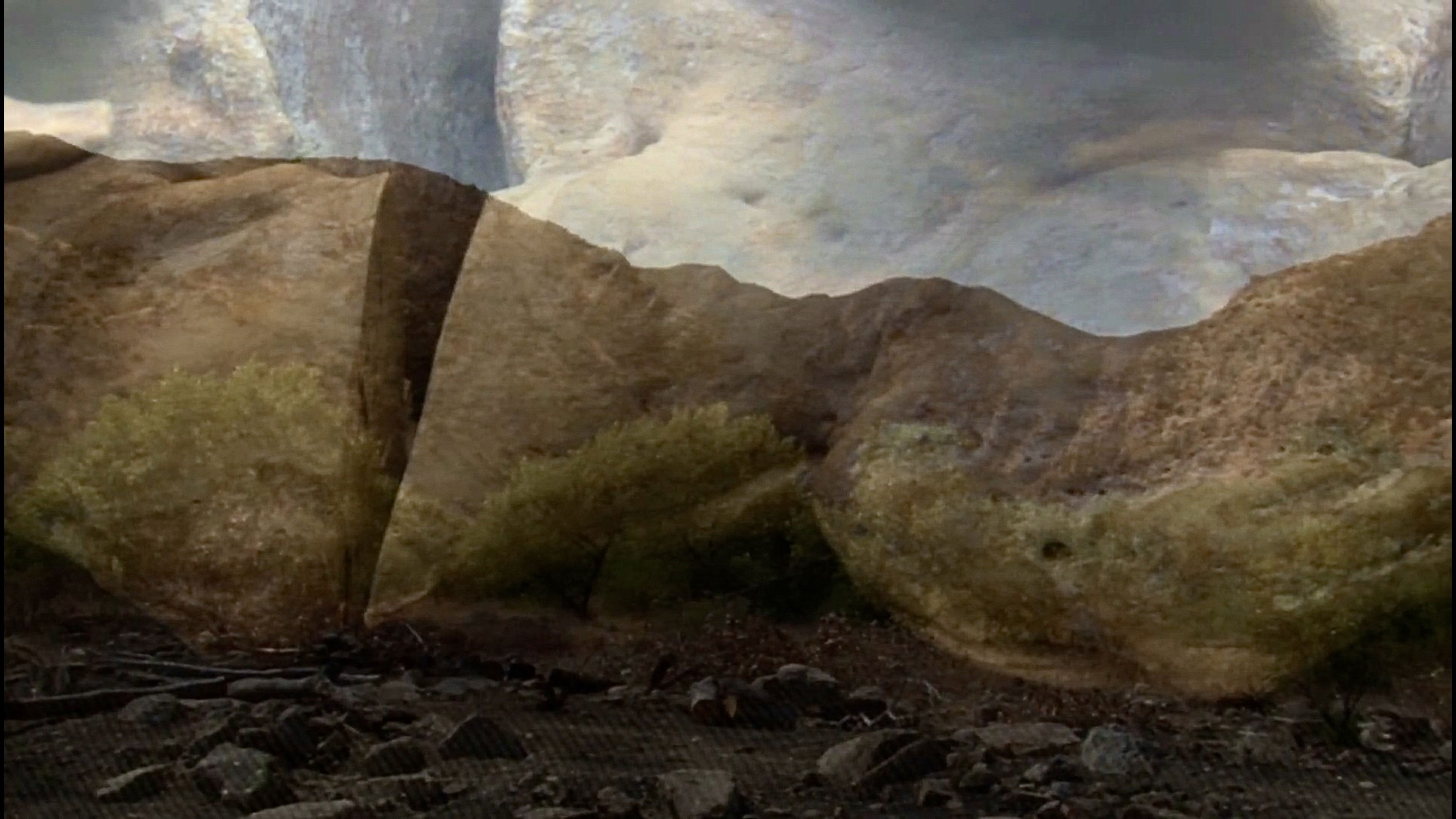 Backdrop for Topsy: The Last American Camel