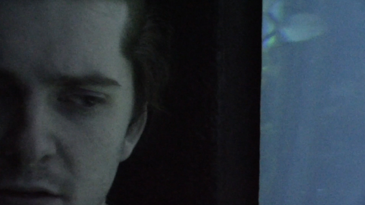 Backdrop for anniversary_6