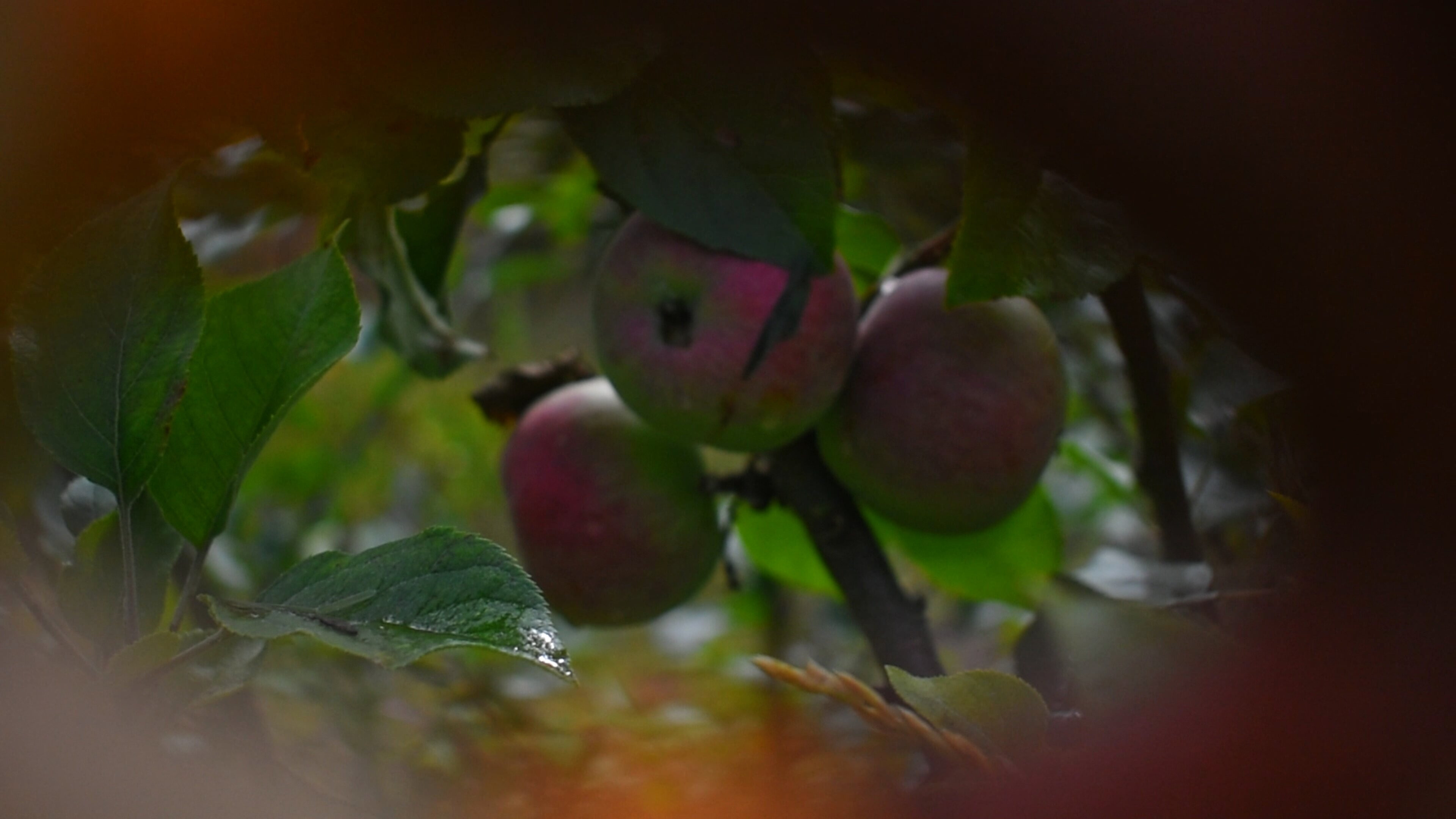 Backdrop for We Exist Triply