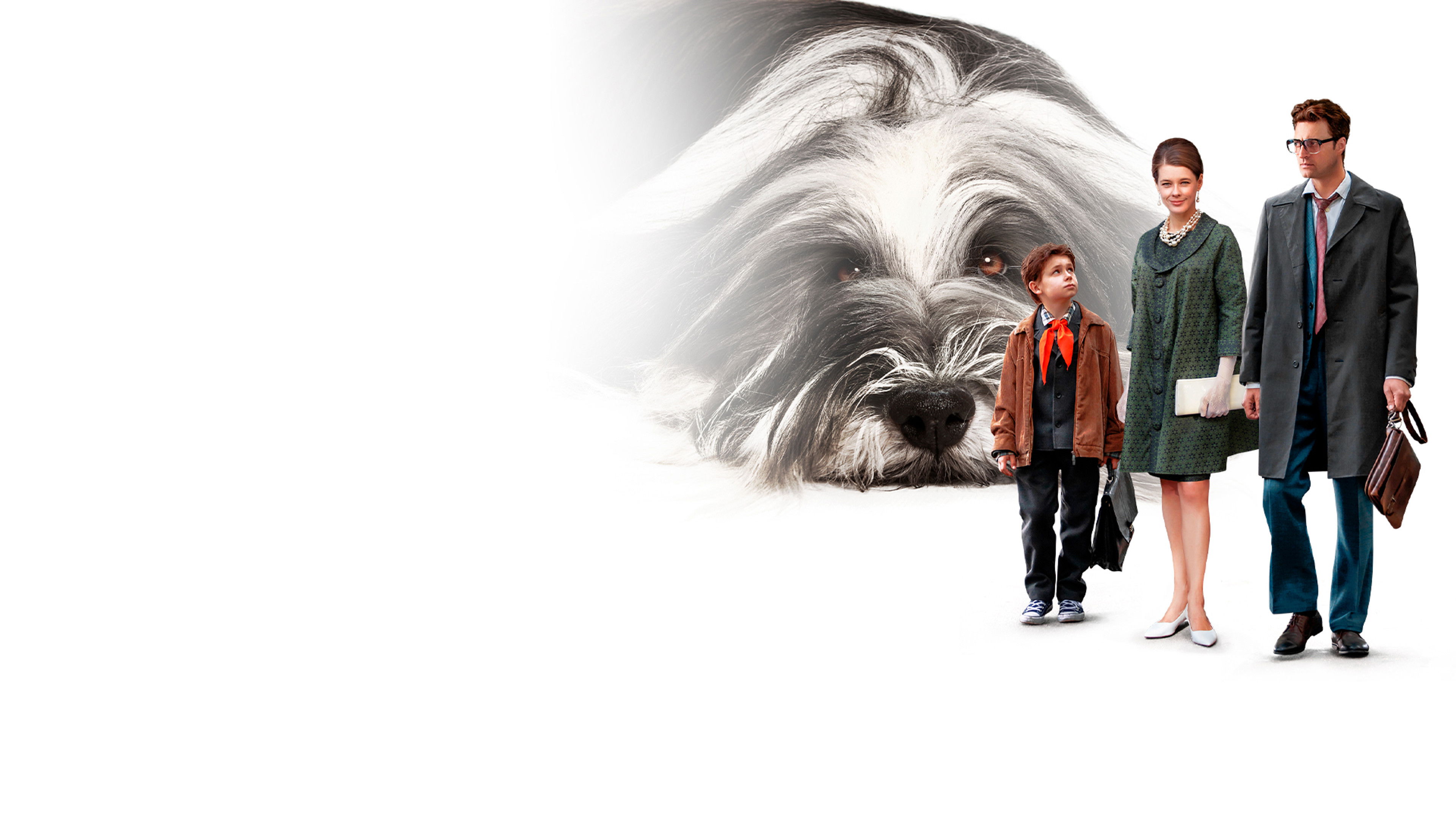 Backdrop for Everyone Dreams of a Dog