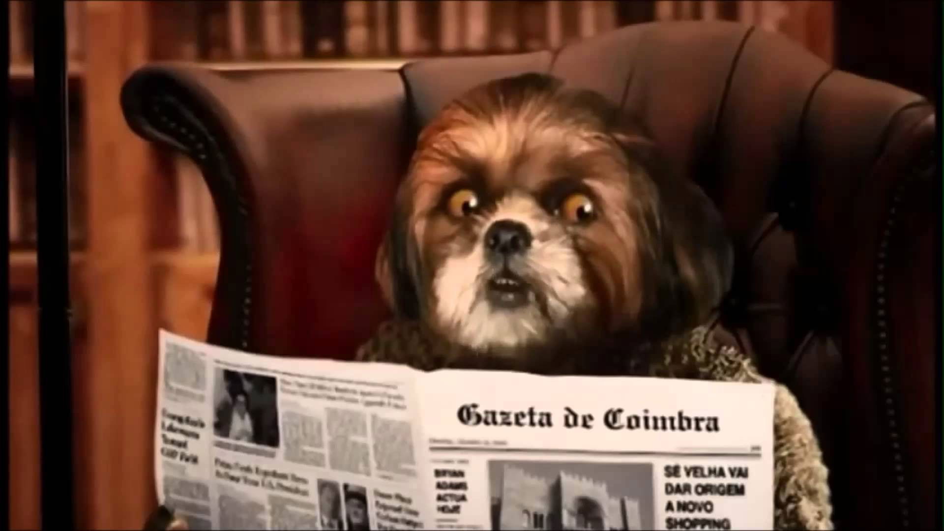 Backdrop for Aleixo Psi