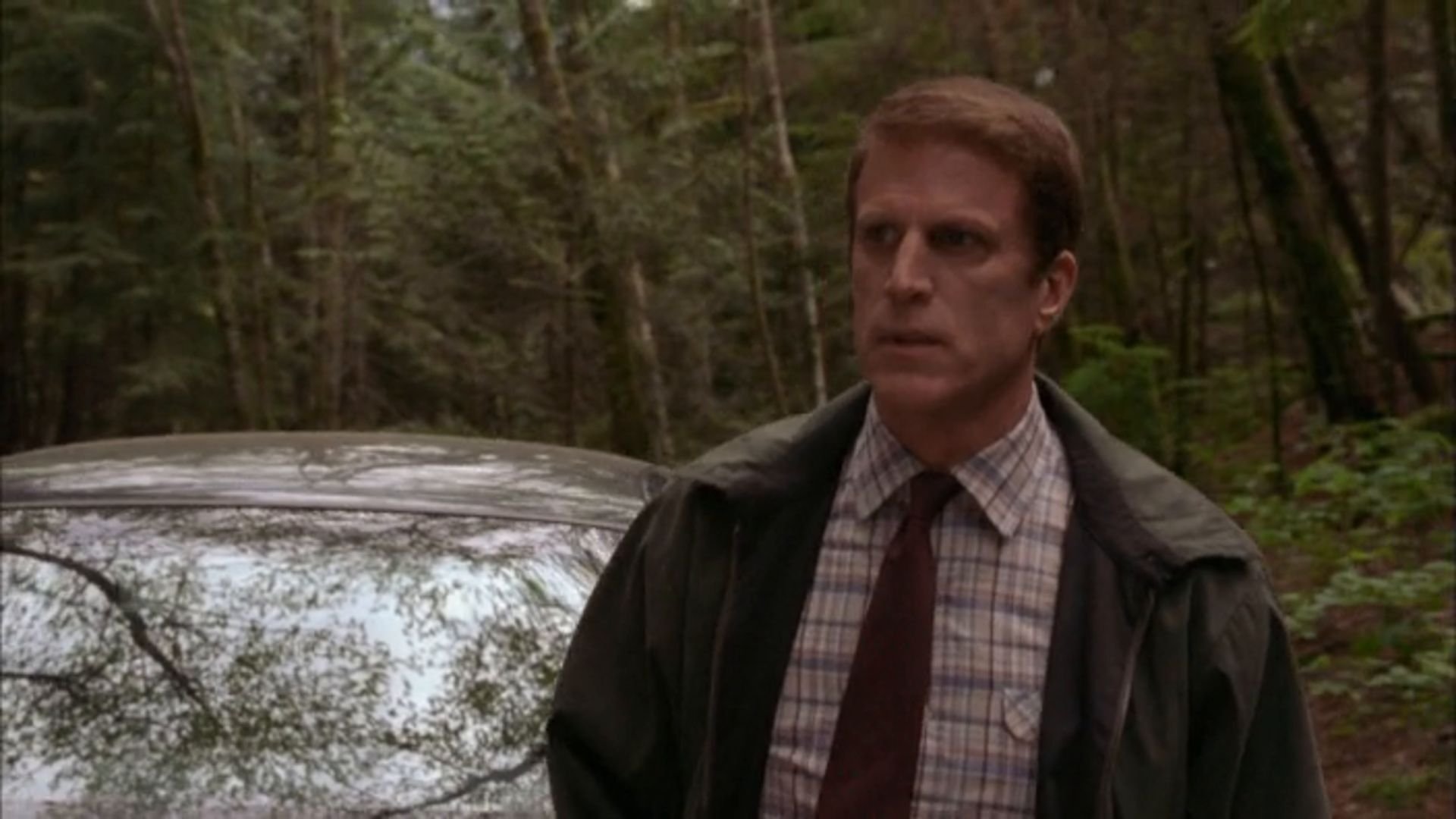 Backdrop for Living with the Dead