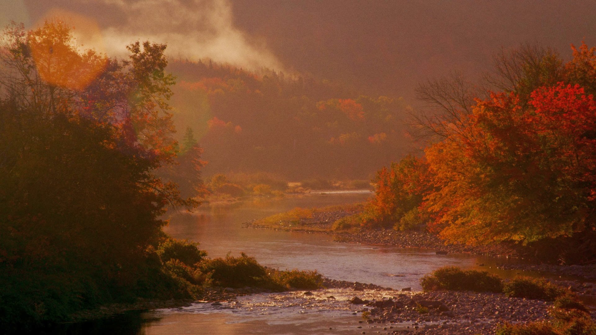 Backdrop for Life's Work: Six Conversations with Makers