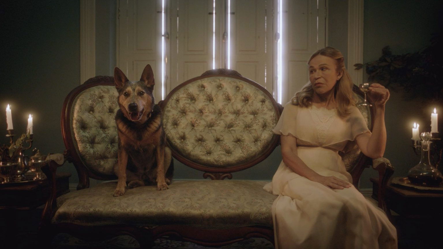 Backdrop for La paciente desconocida de Freud