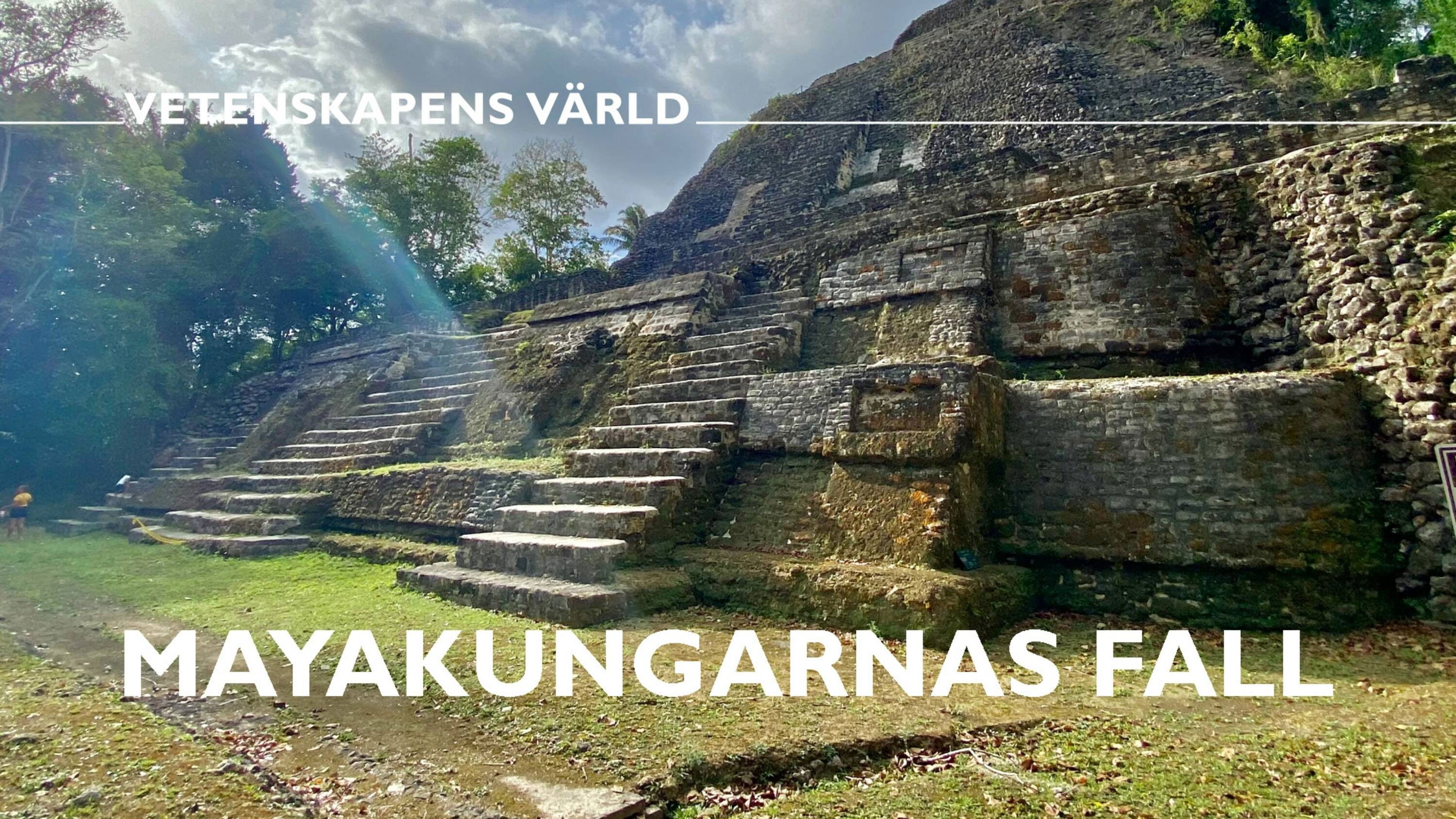 Backdrop for Mayakungarnas fall