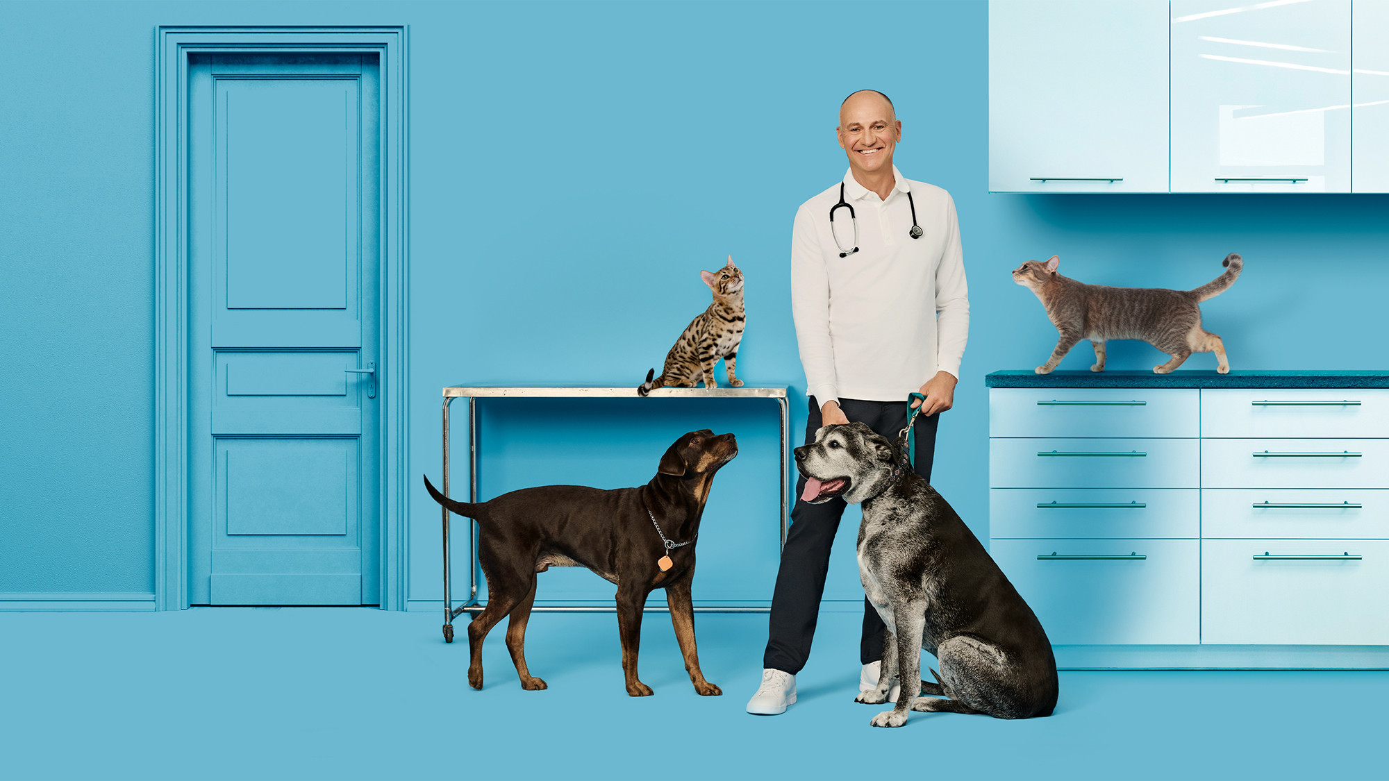 Backdrop for Vie de vet