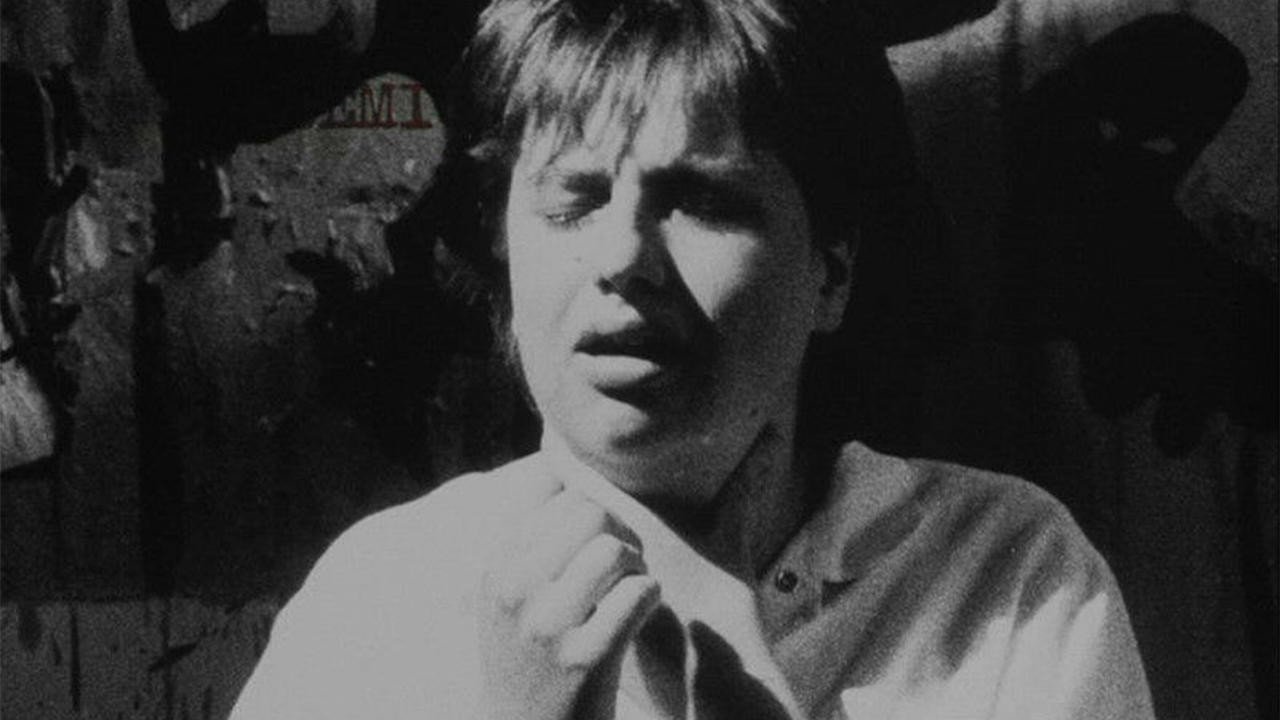 Backdrop for Epidemic