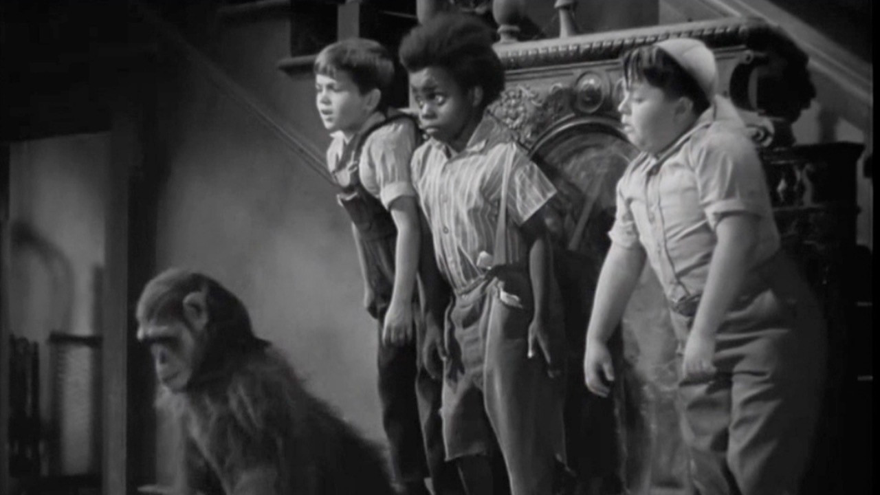 Backdrop for Don't Lie