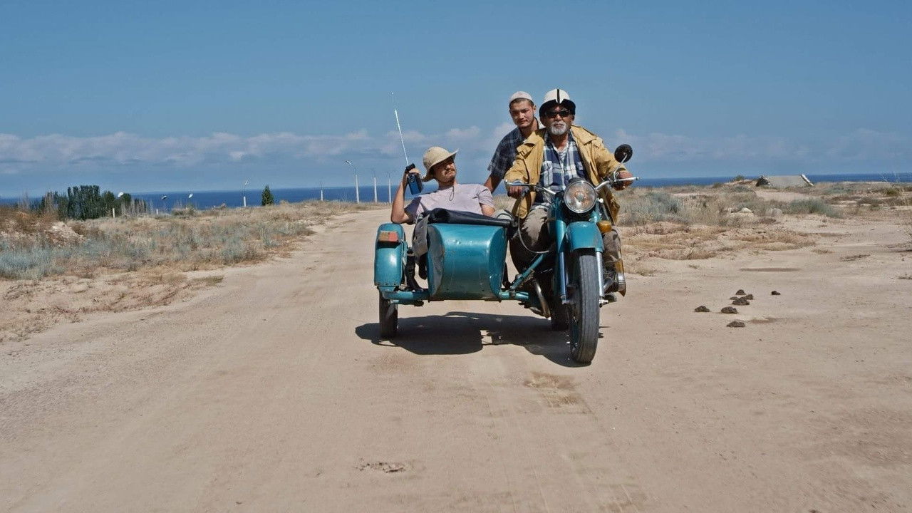 Backdrop for Night Accident