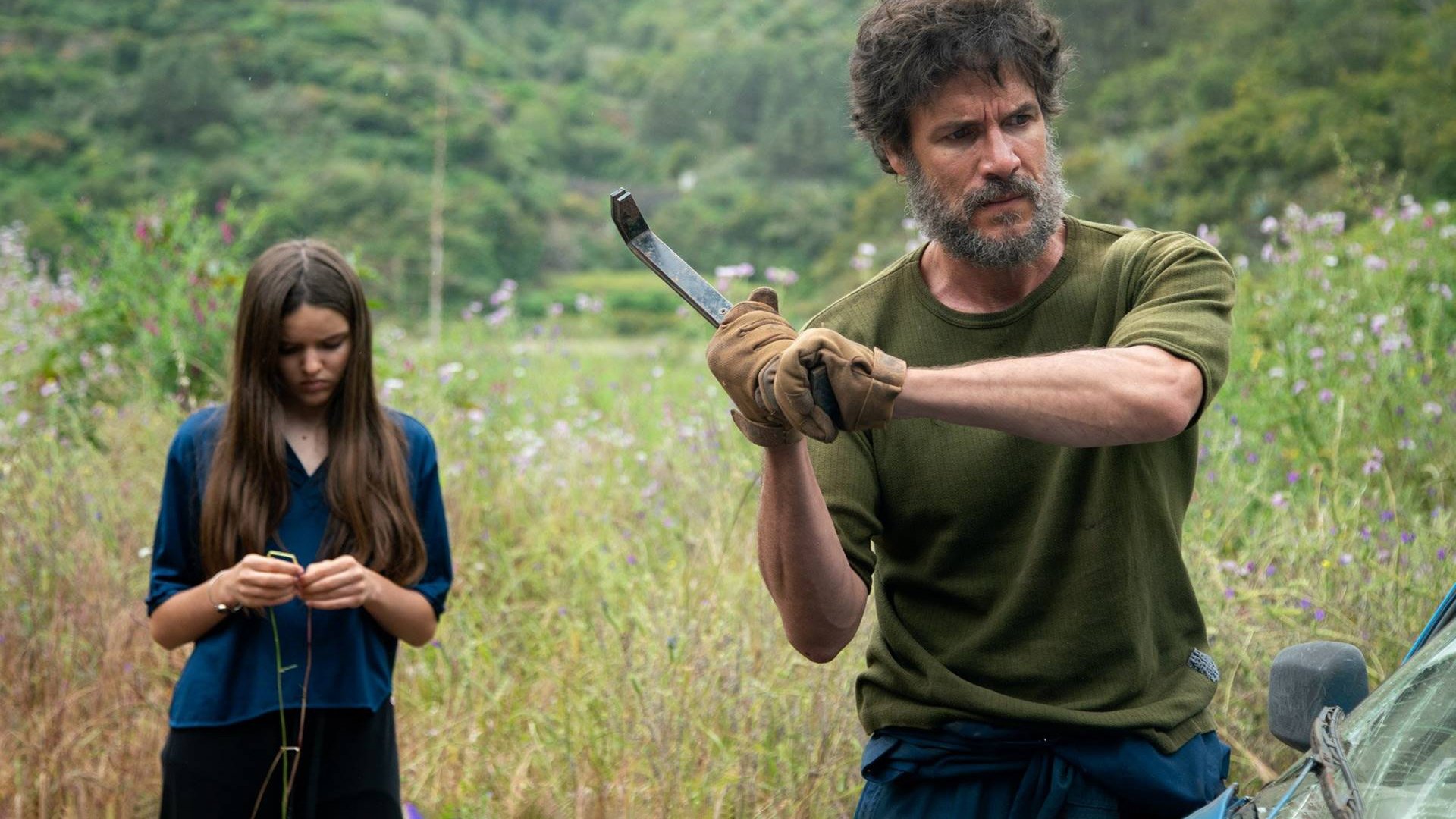 Backdrop for The House Among the Cactuses