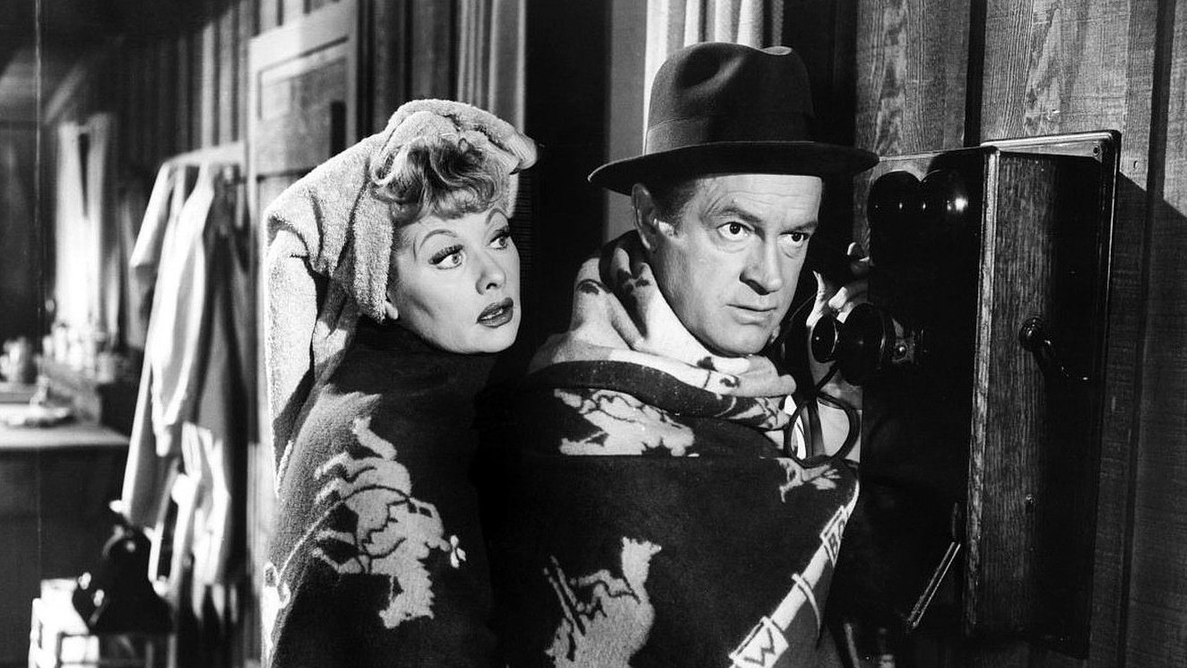 Backdrop for The Facts of Life