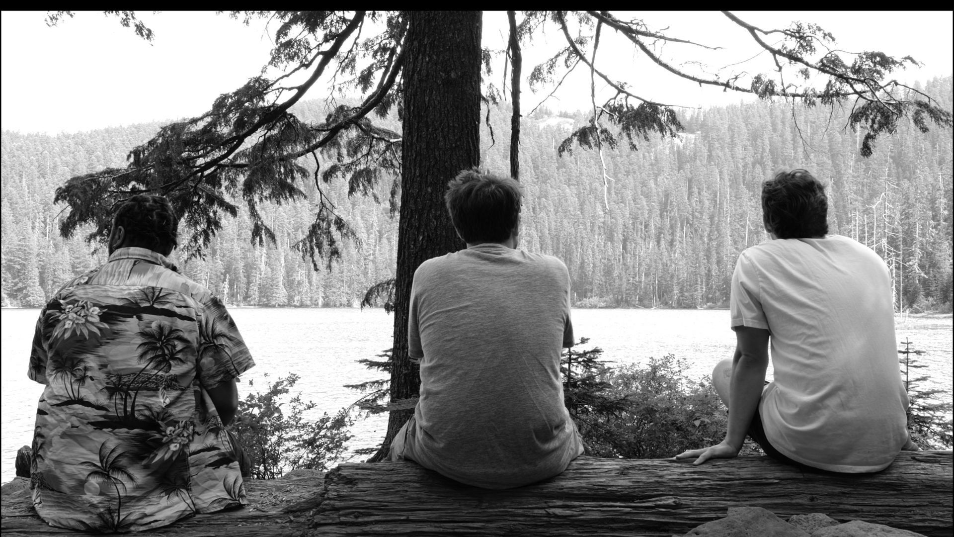 Backdrop for Pareidolia: An Exploration of Human Nature Through Stories About Bigfoot, Presented in Three Acts