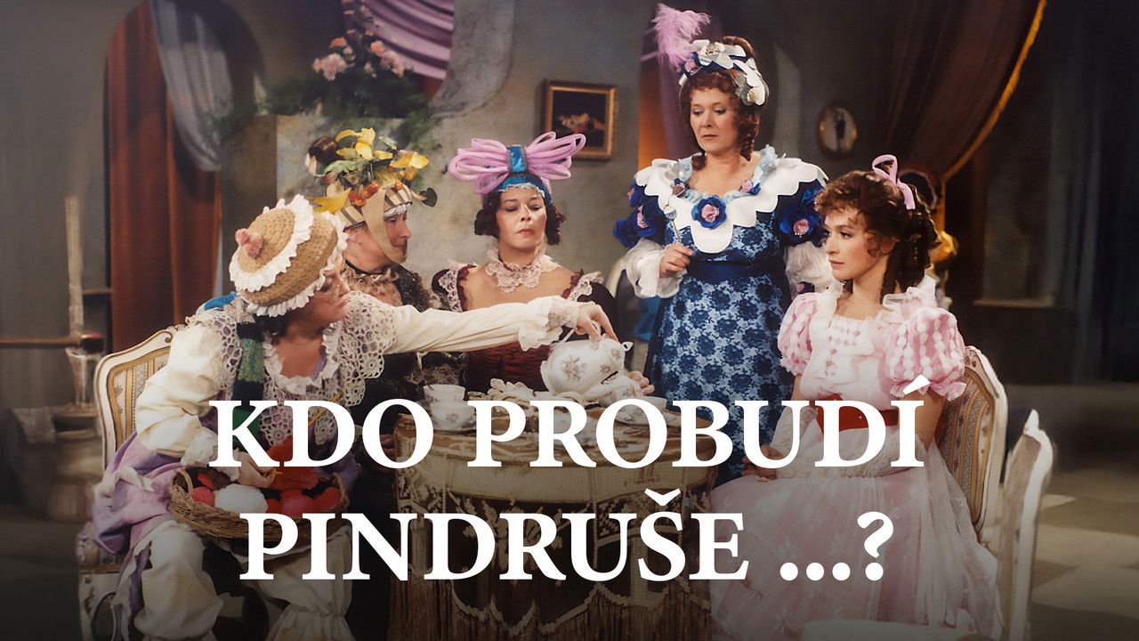 Backdrop for Kdo probudí Pindruše...?