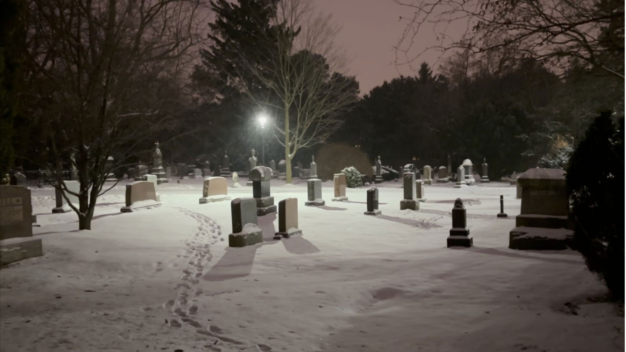 Backdrop for The Breath Between Us