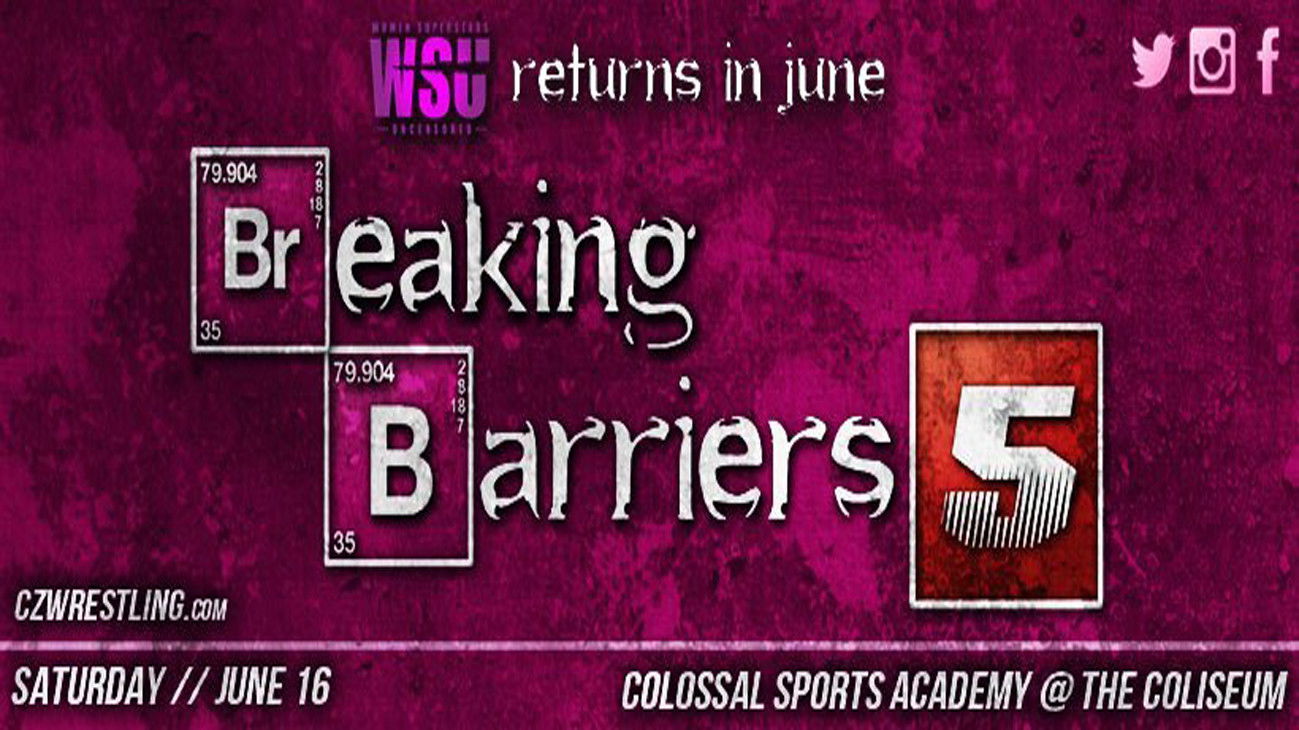 Backdrop for WSU Breaking Barriers 5