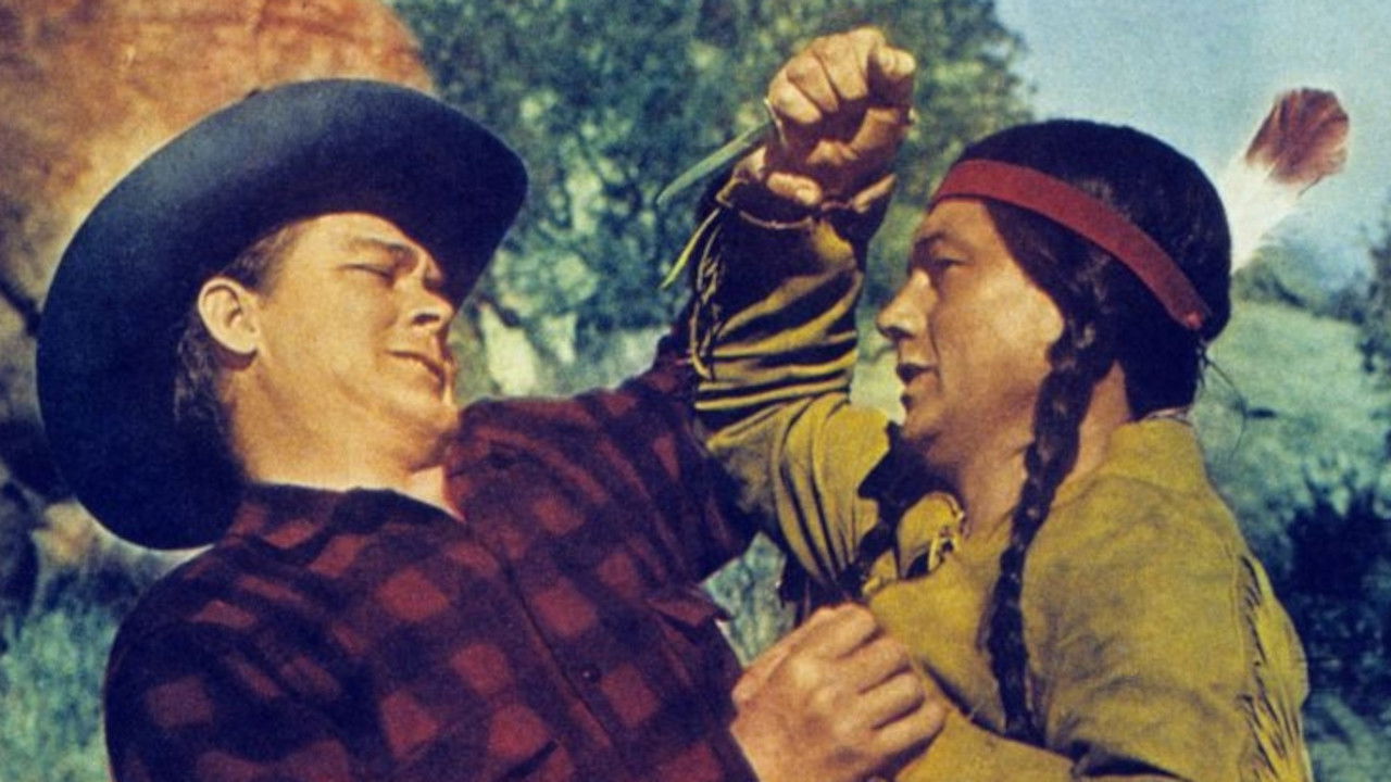 Backdrop for Wild Stallion