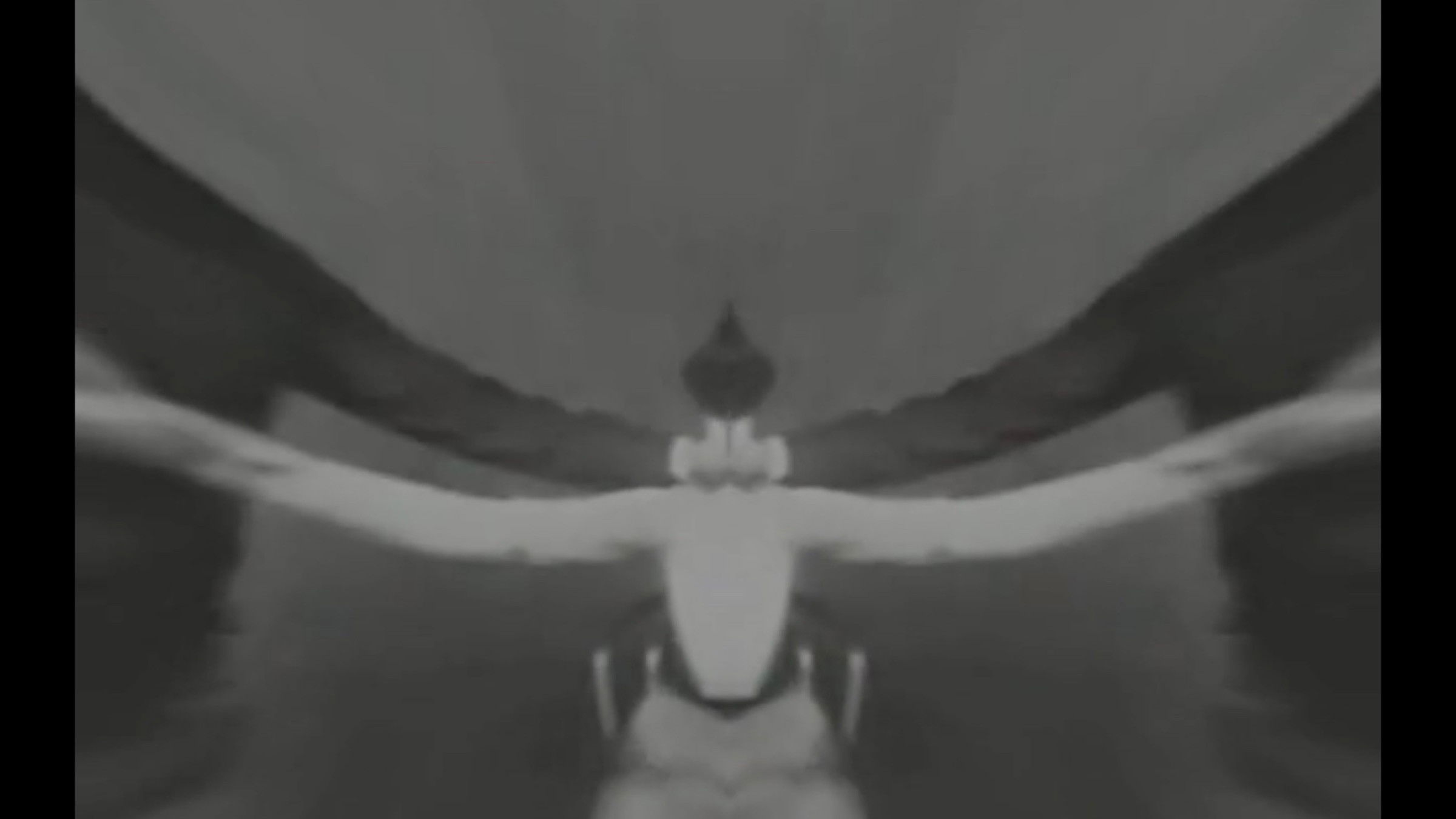 Backdrop for Leda + Swans