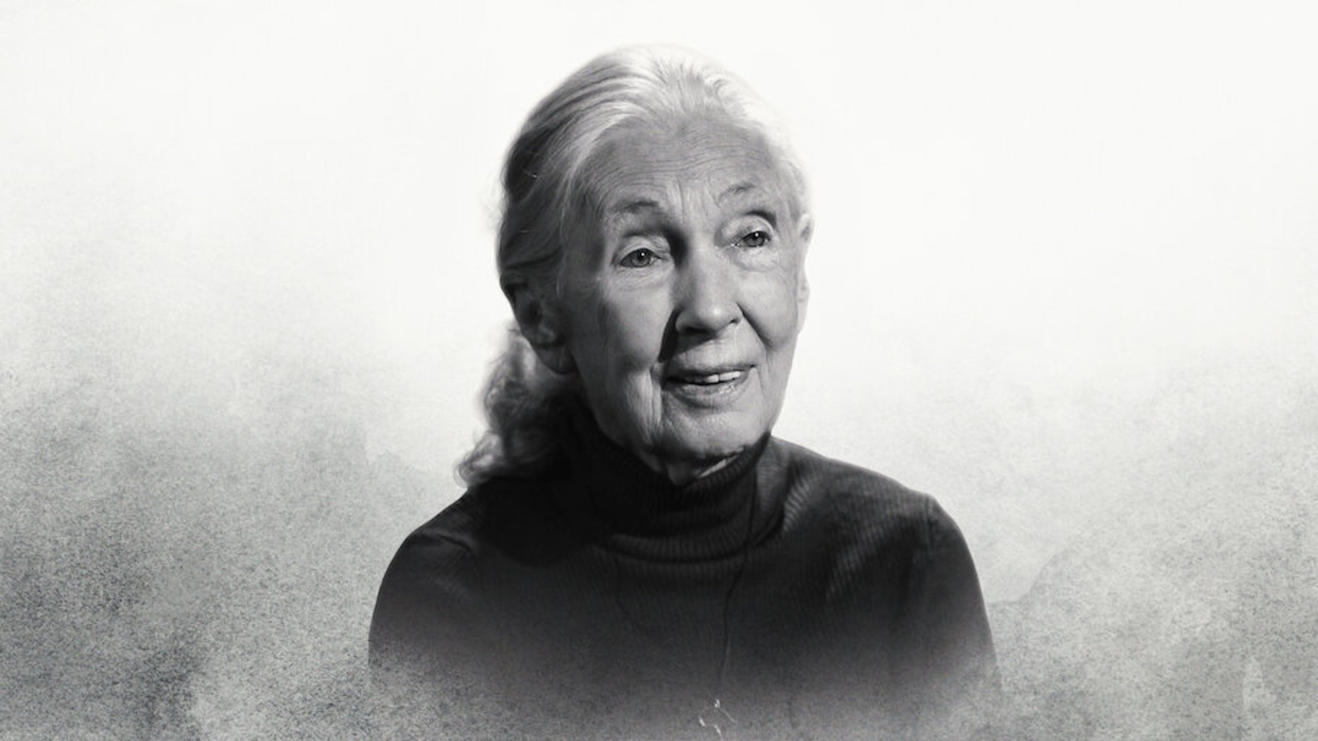 Backdrop for Famous Last Words: Dr. Jane Goodall
