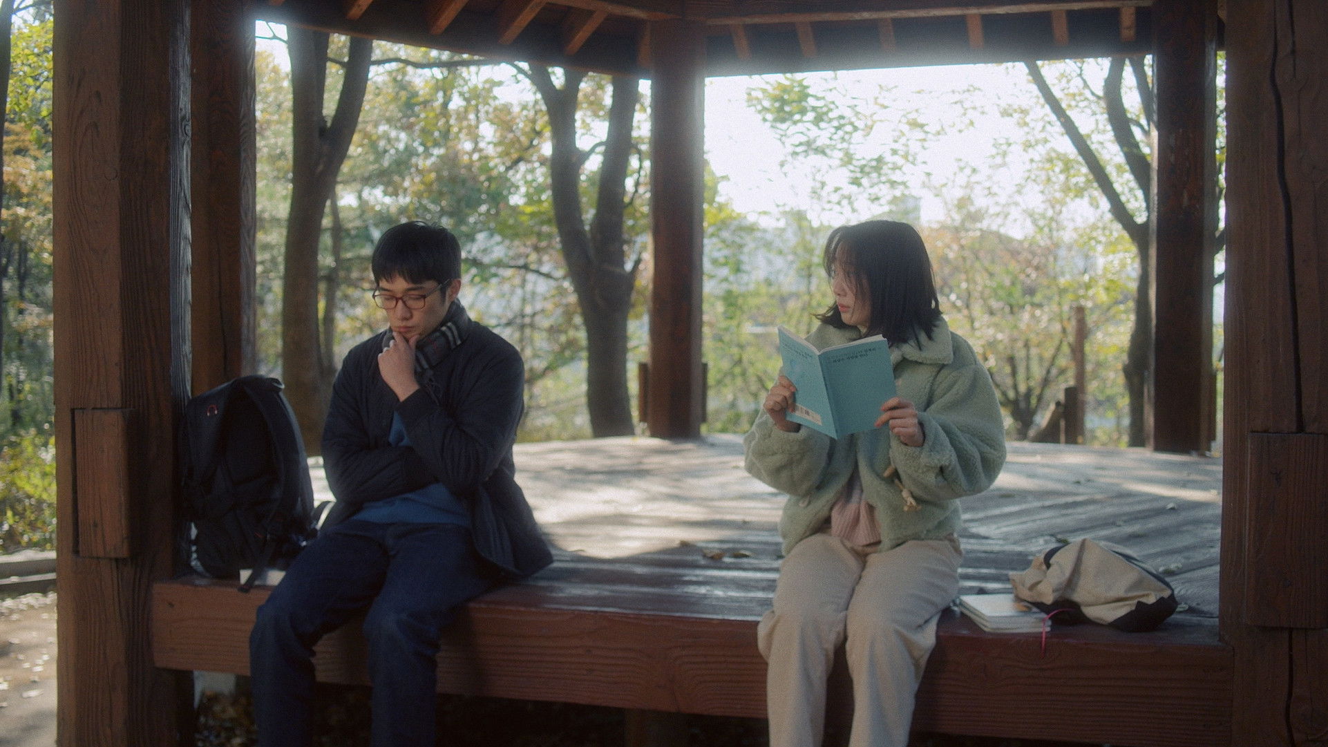 Backdrop for Poetry Syndrome