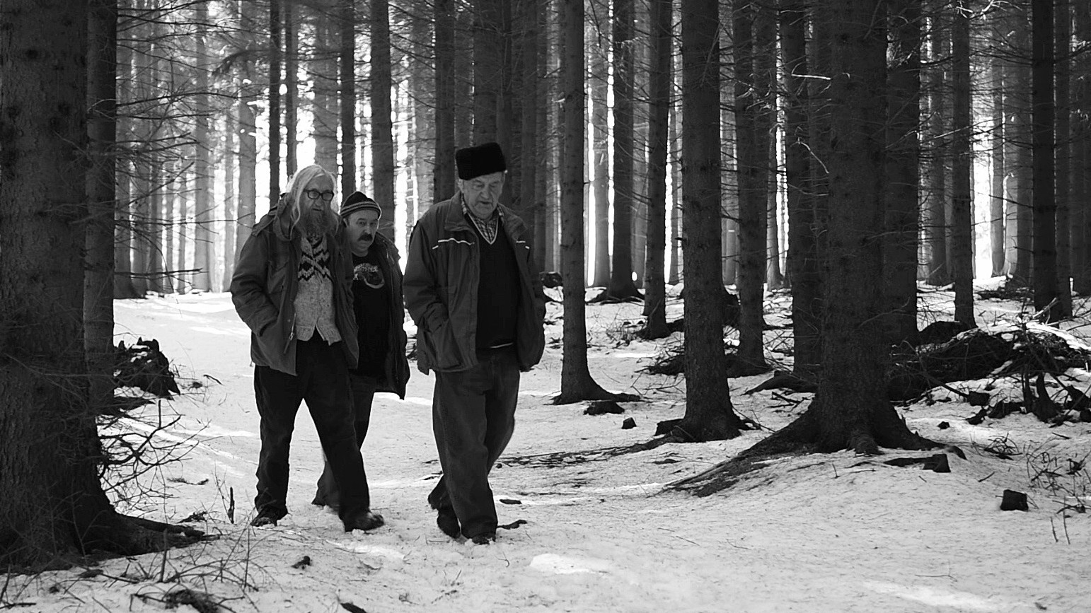 Backdrop for Odborný dohled nad výkladem snu