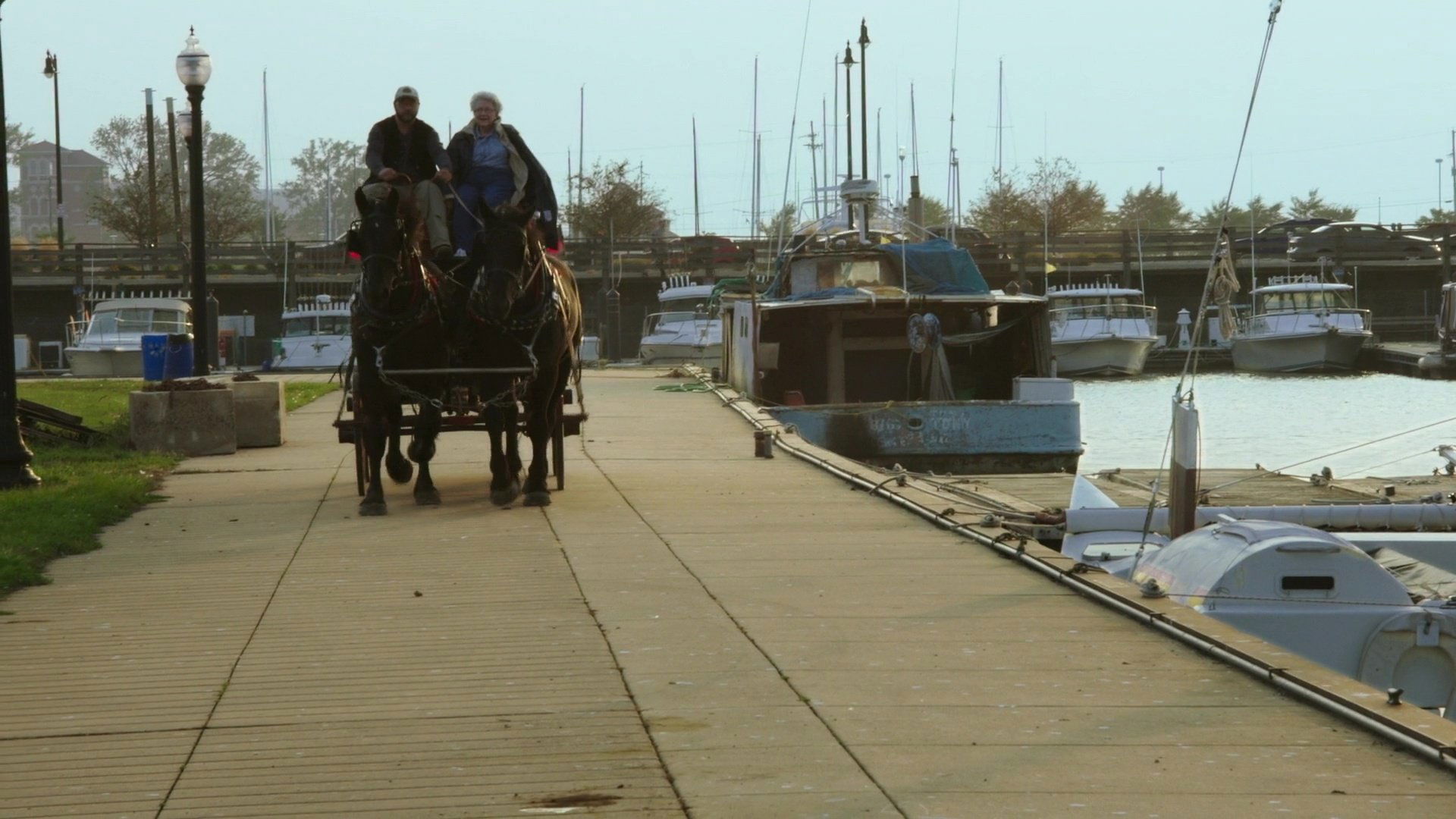 Backdrop for Before The Border