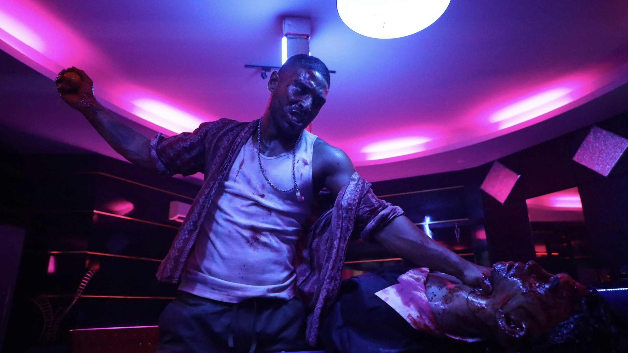 Backdrop for Mayhem!