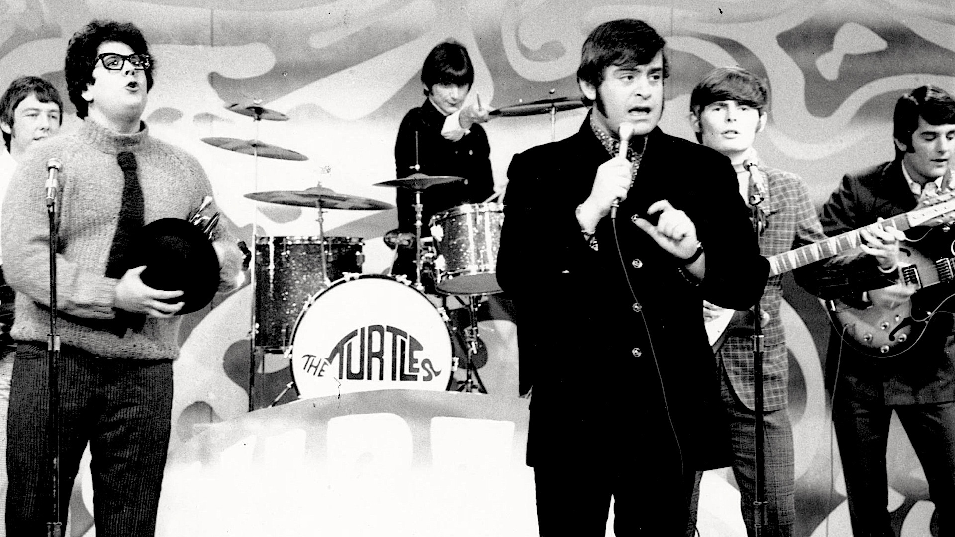 Backdrop for The Turtles: Happy Together