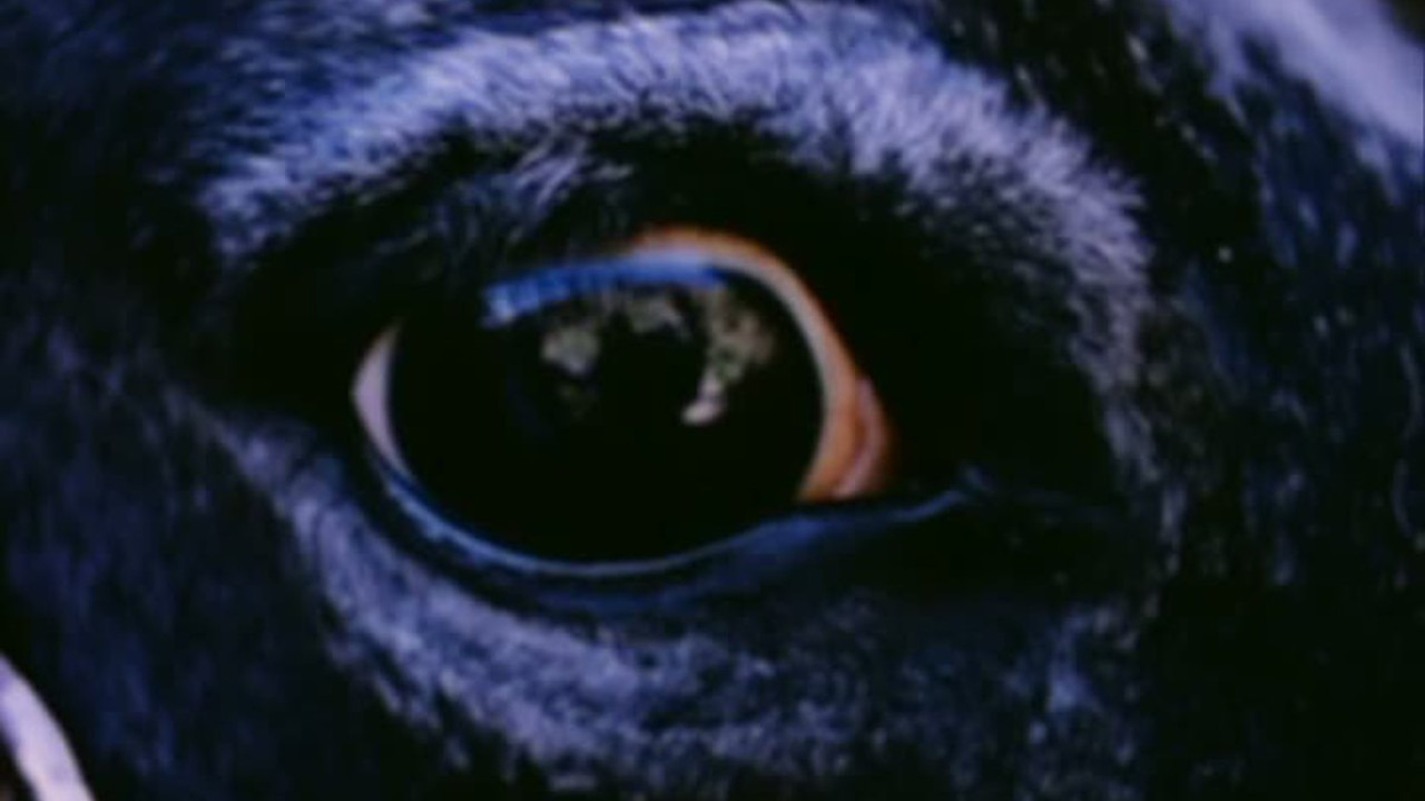 Backdrop for Valentin de las Sierras